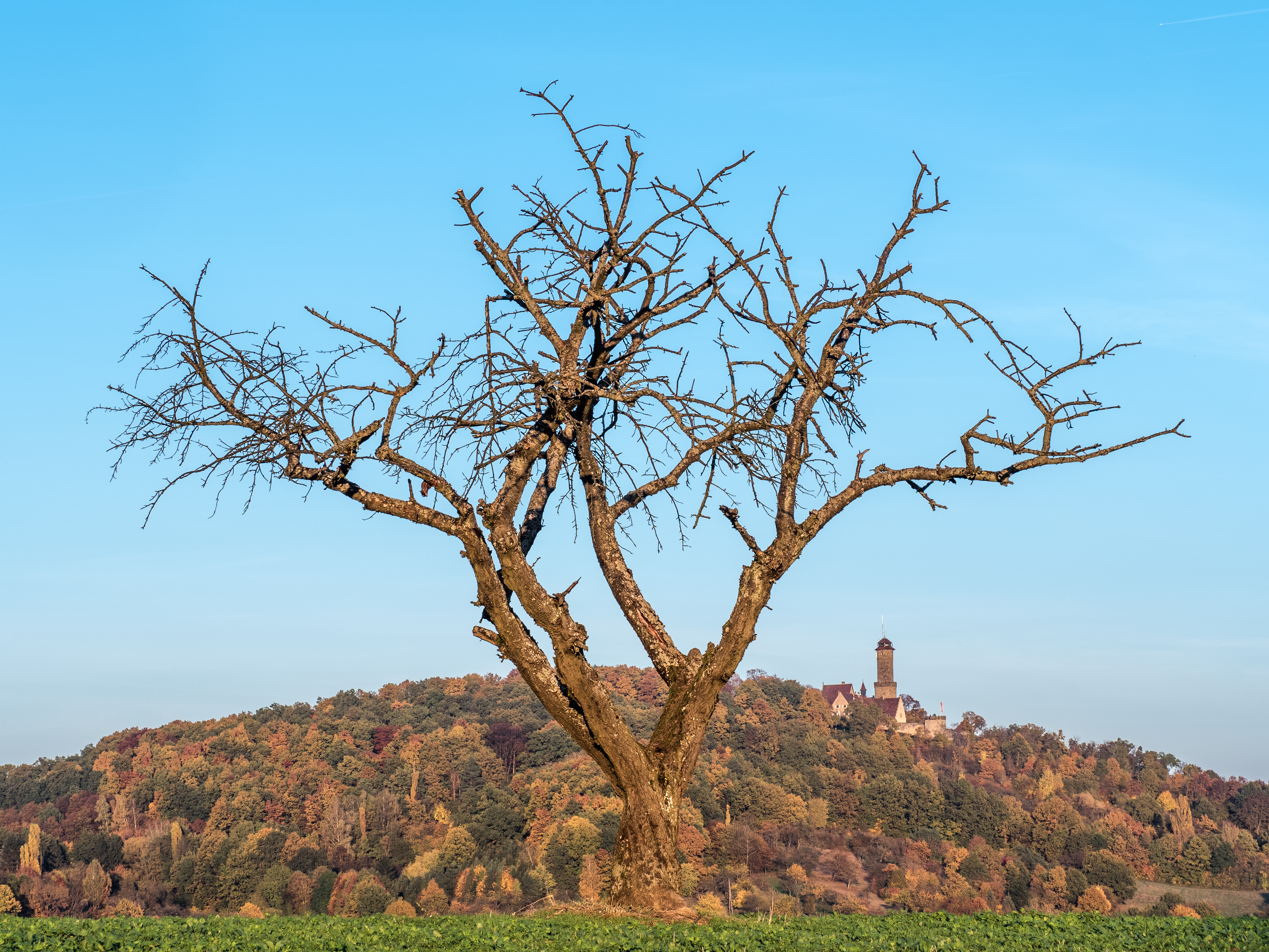 Altenburg-310053-PSD