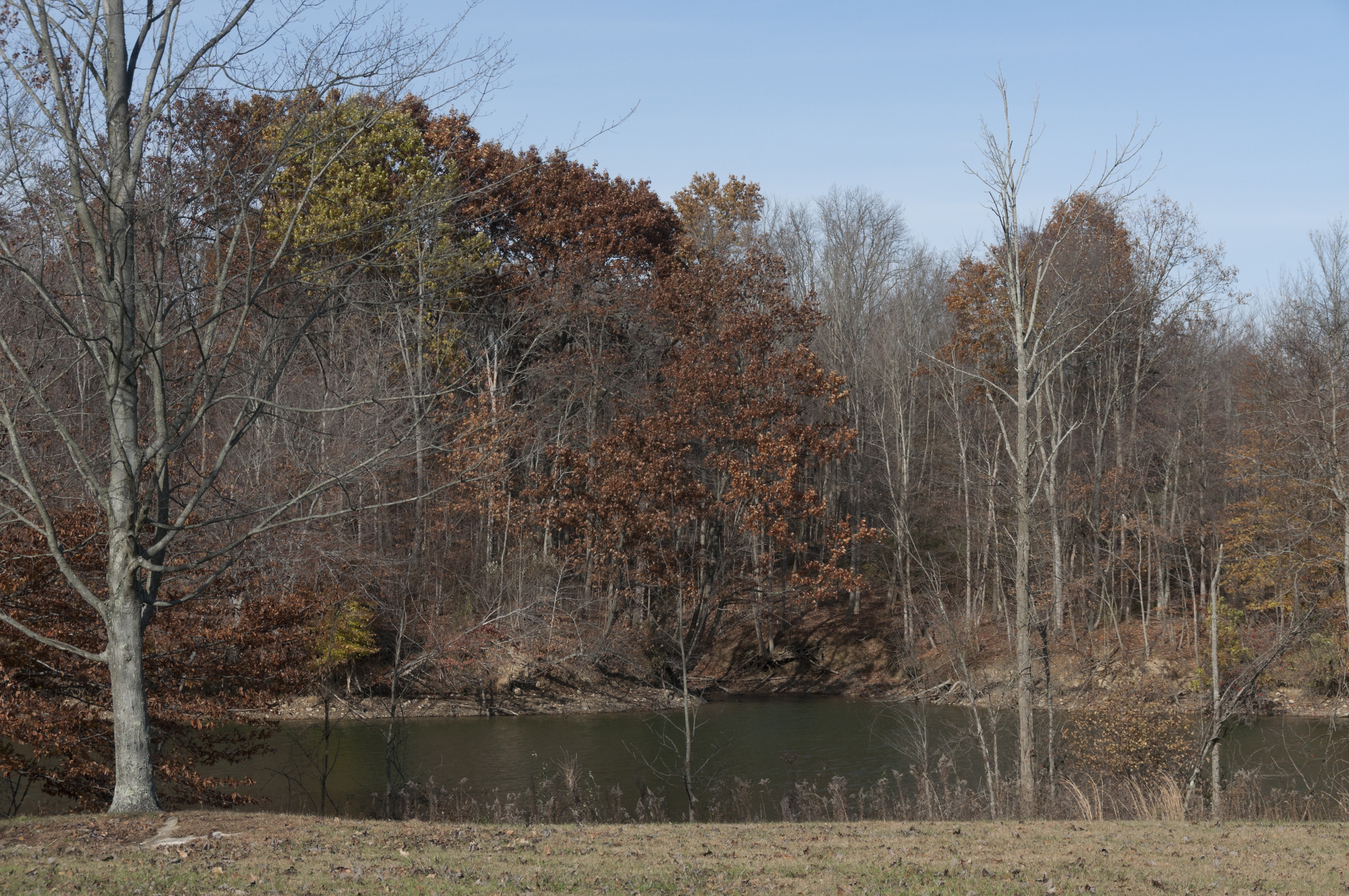 Alum Creek State Park in November 1