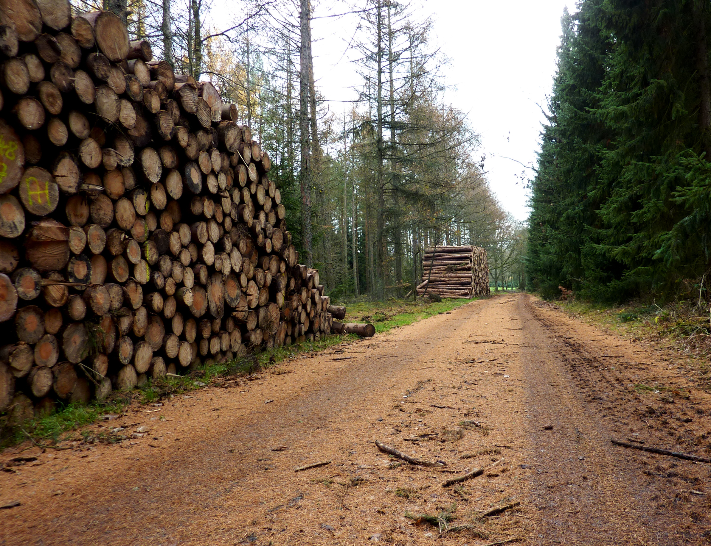 Alvern, Wirtschaftsweg