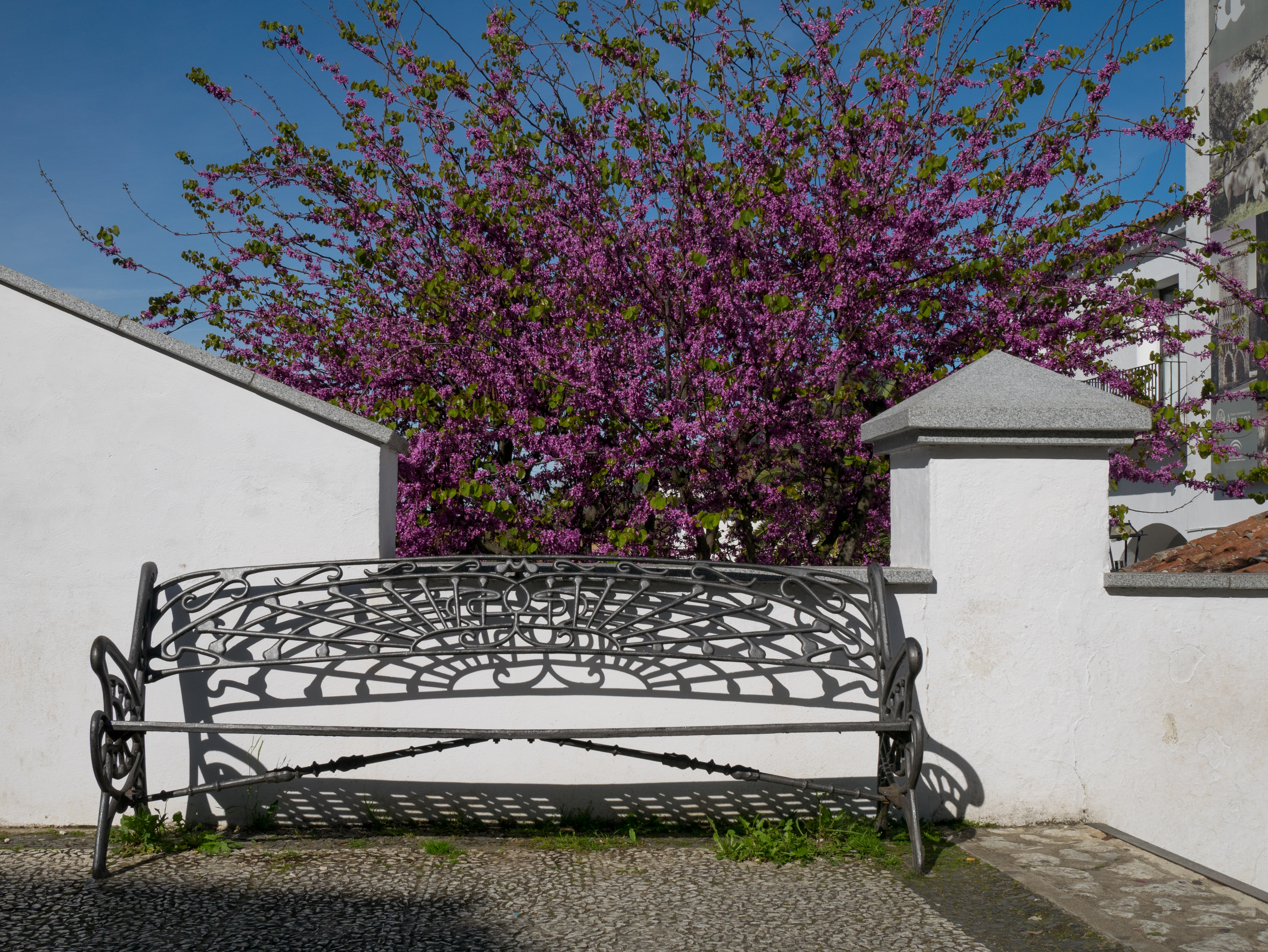 Aracena - Banco 01