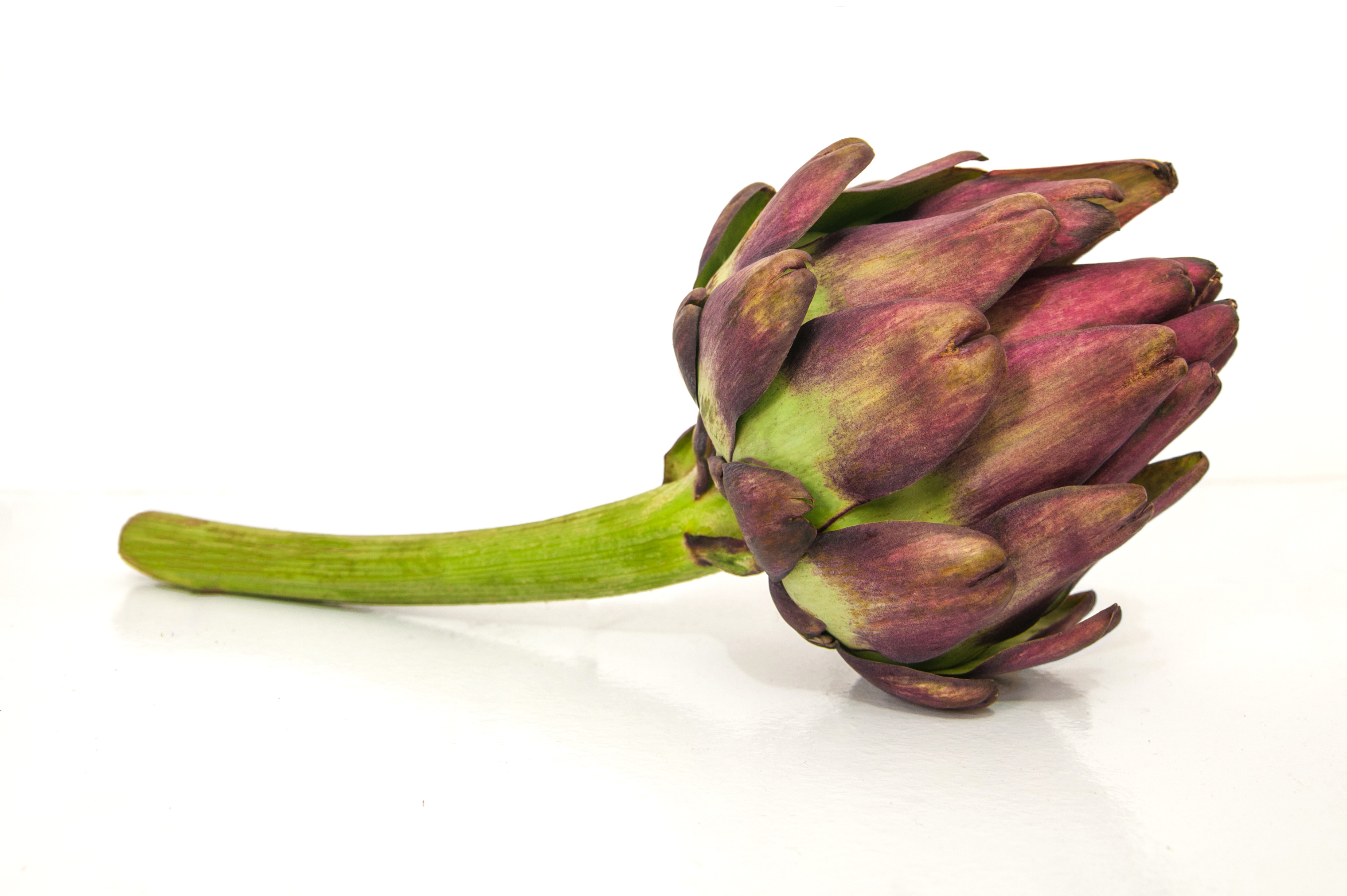 Artichoke in Brazil