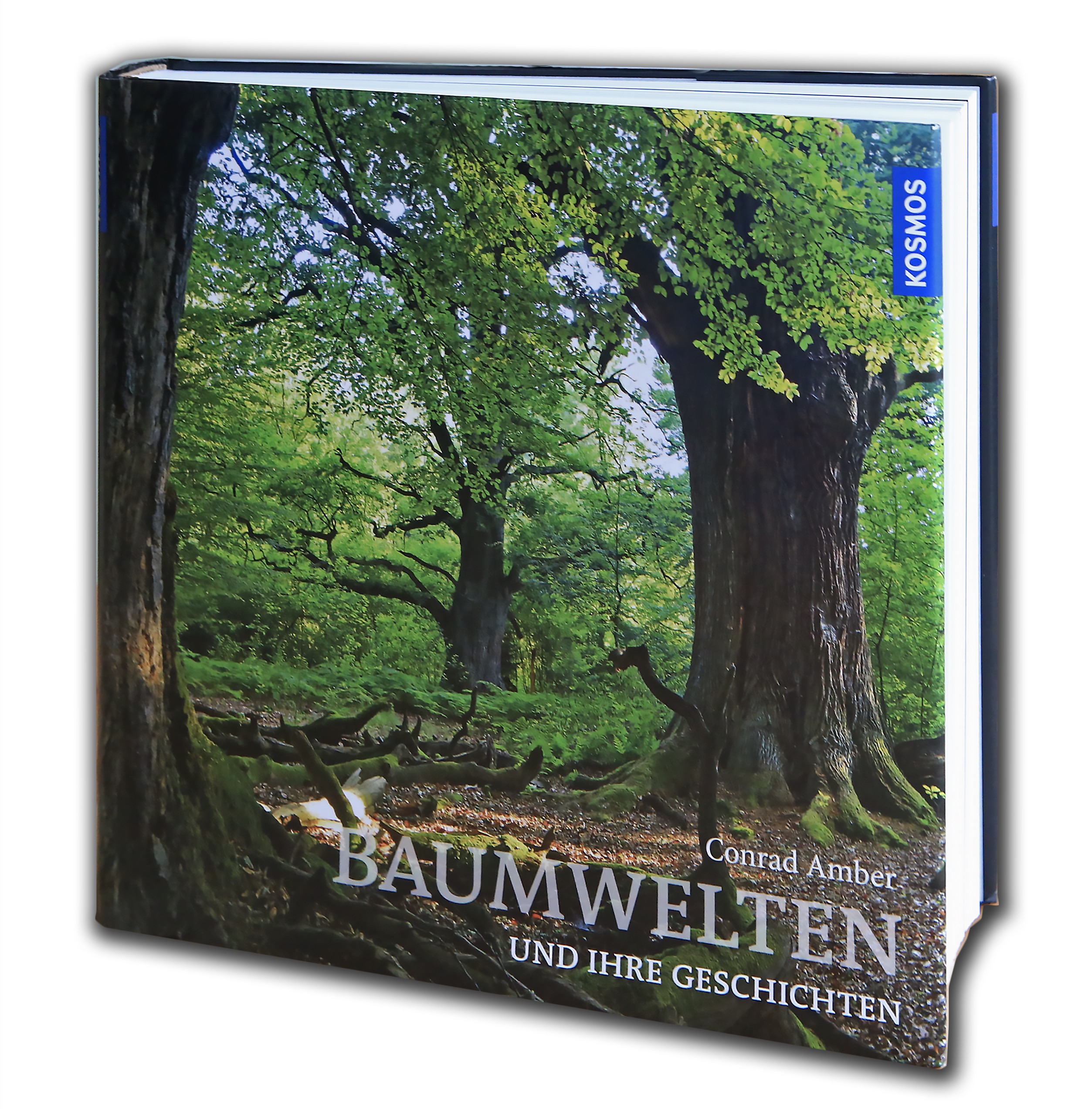 Baumwelten Buch Ansicht