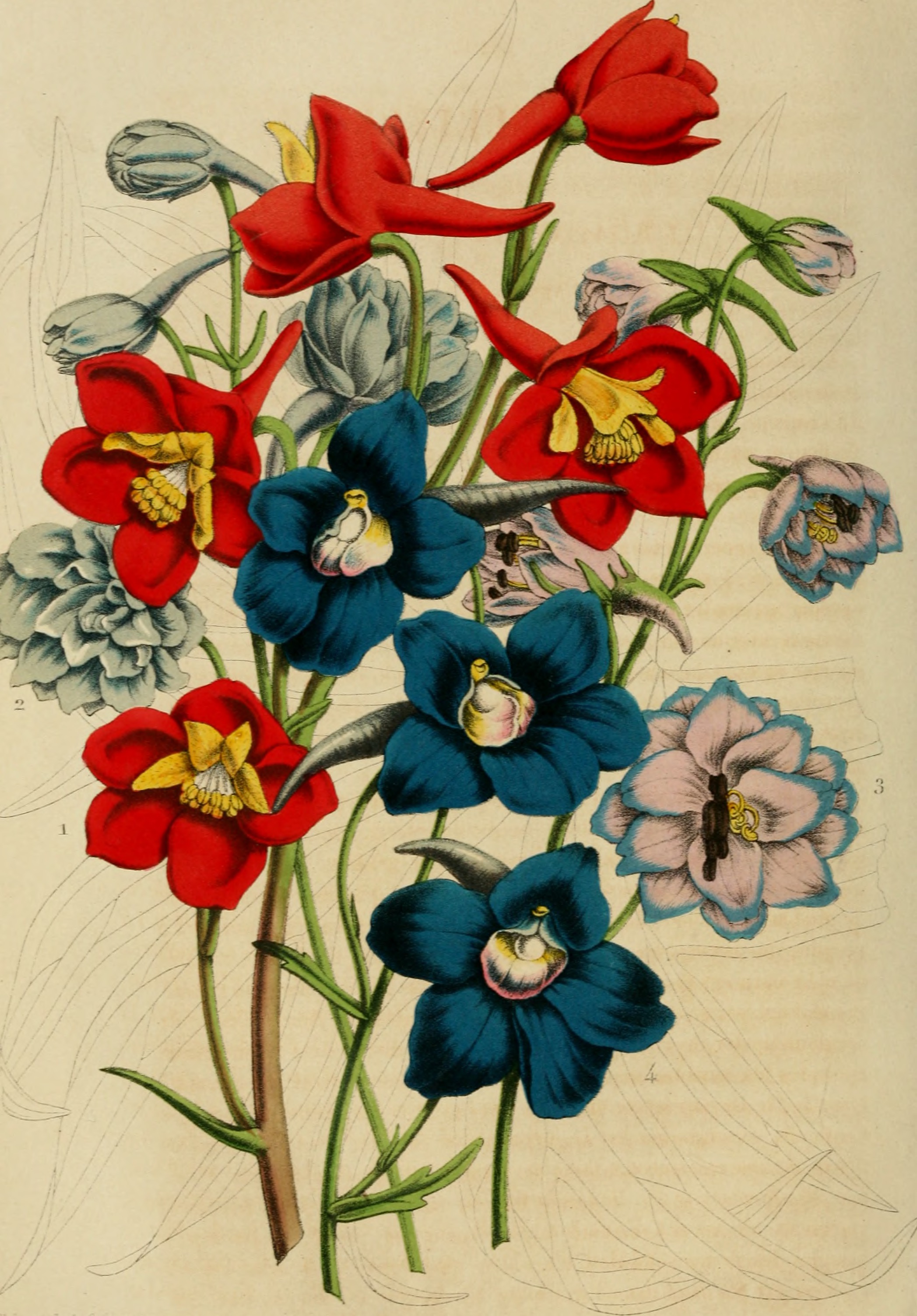 Belgique horticole (20364090805)