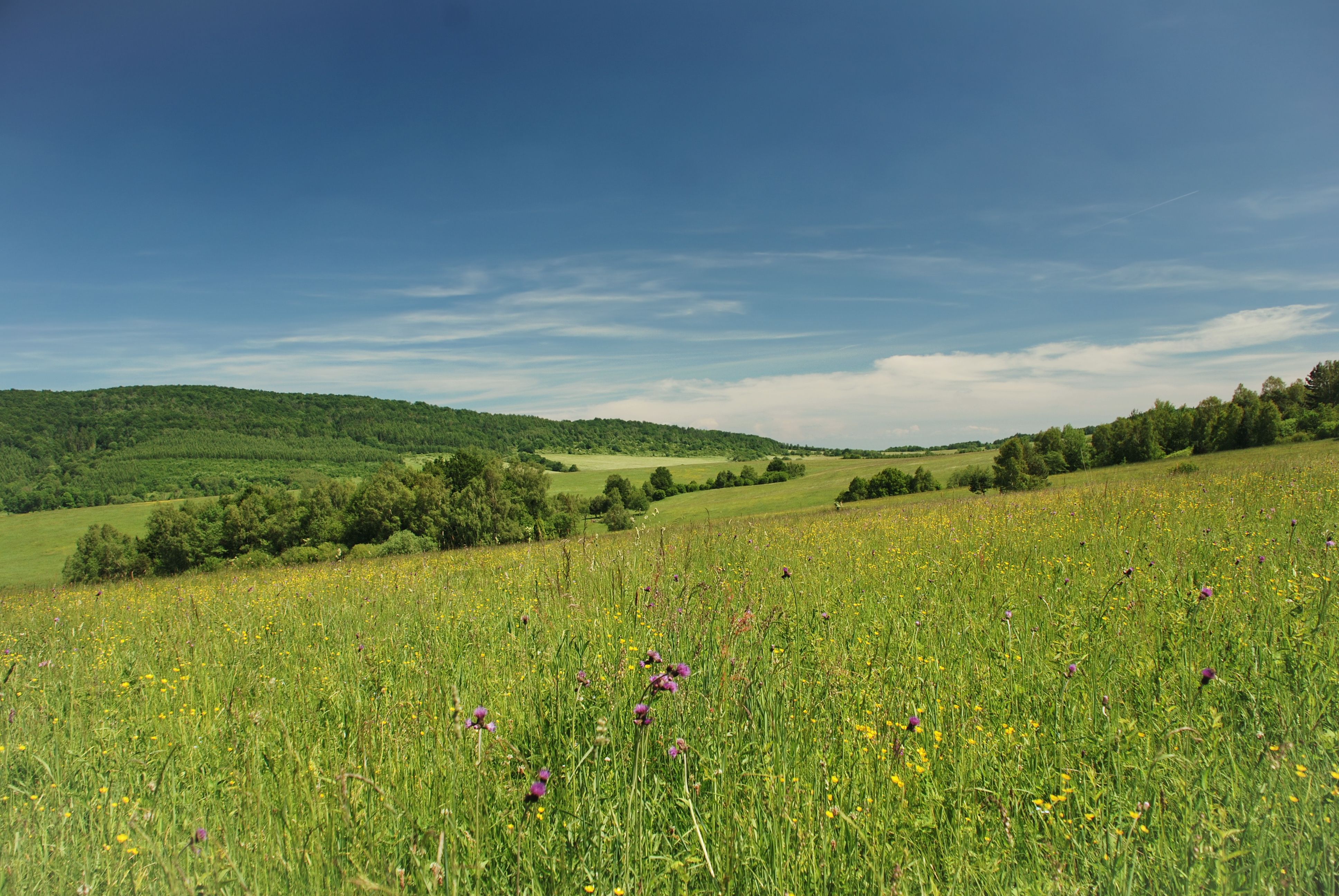 Beskid Niski-Czeremcha (2)