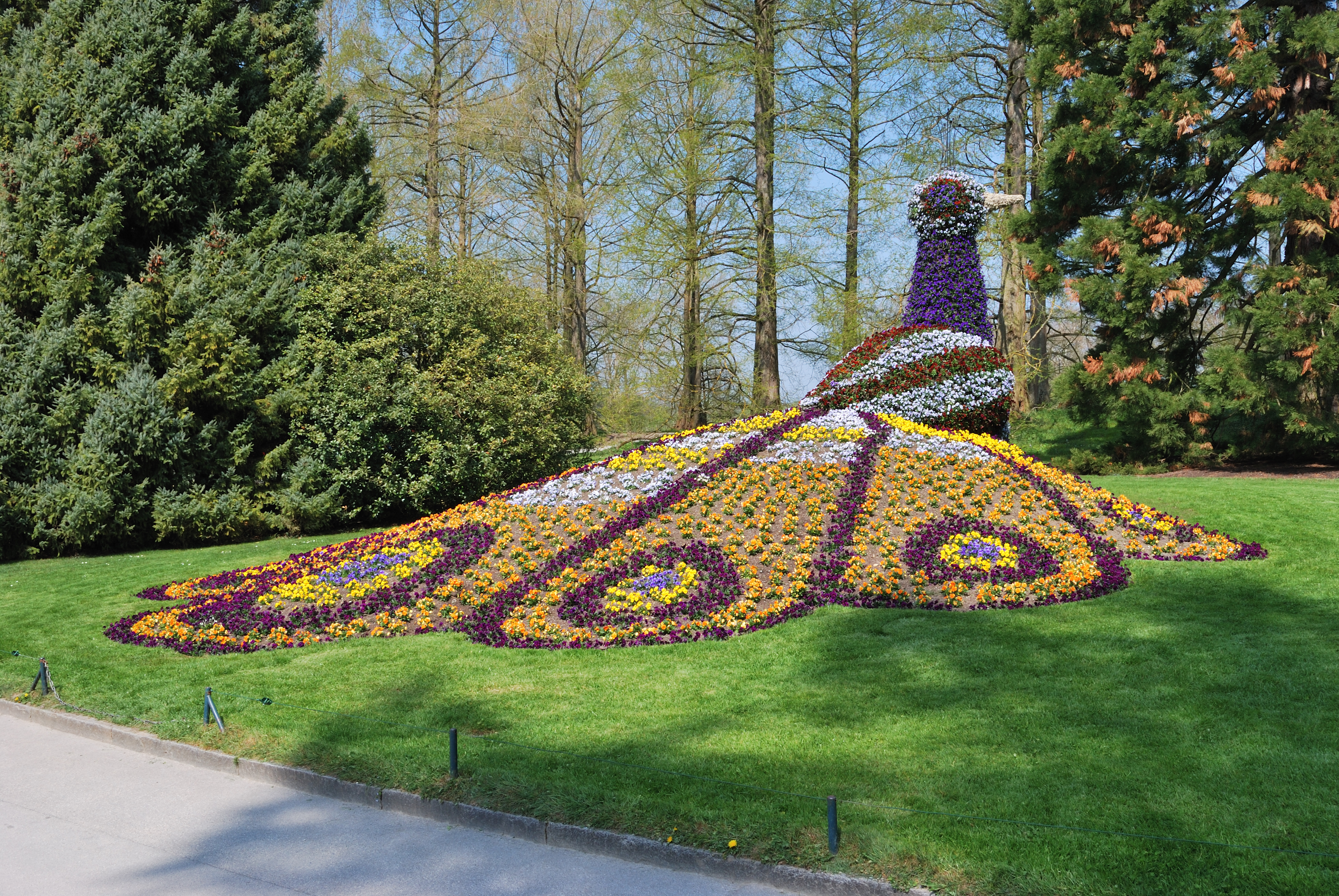 Blumenpfau Mainau 2010