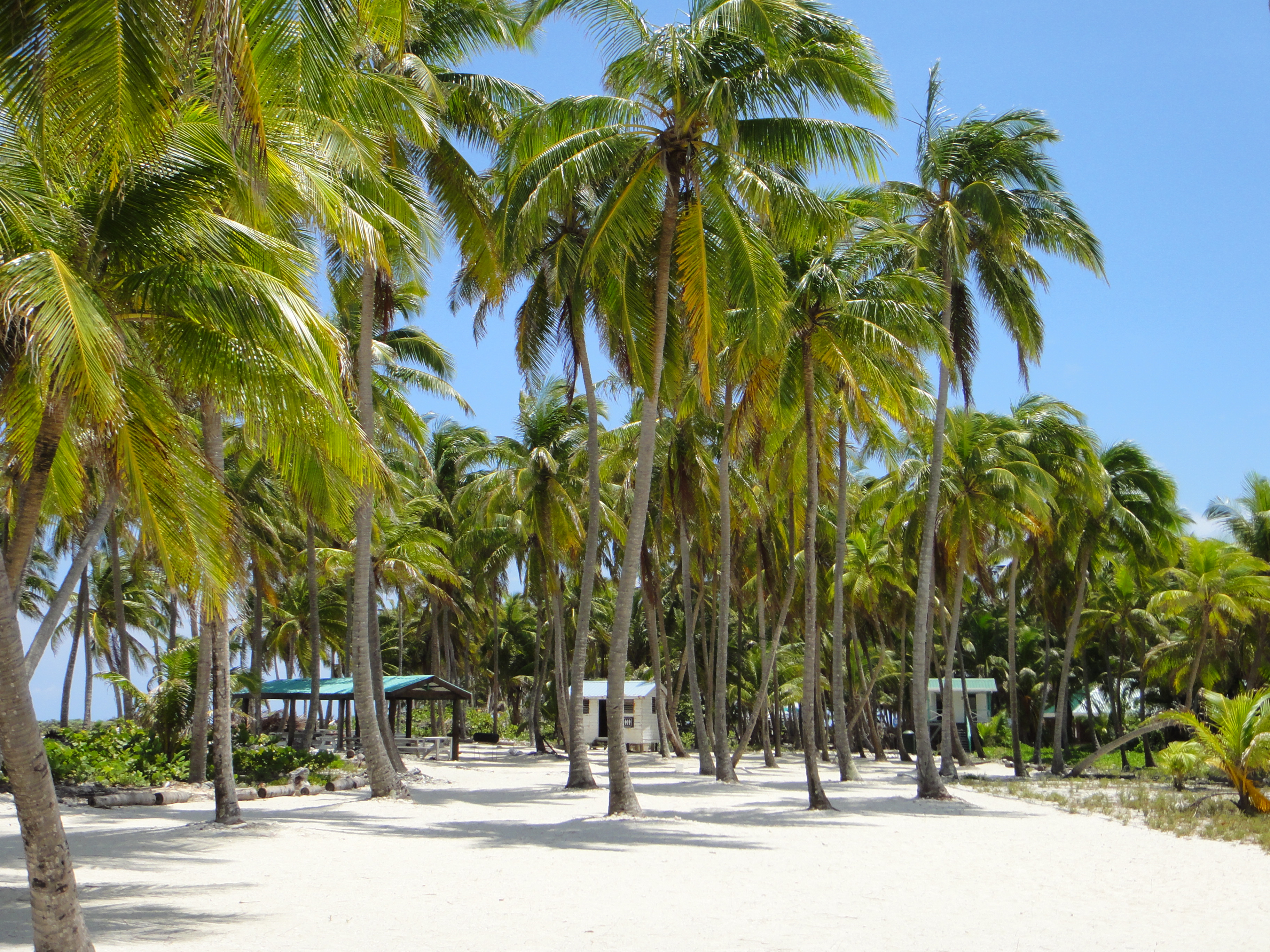Boody Island - Lighthouse island (4906554128)