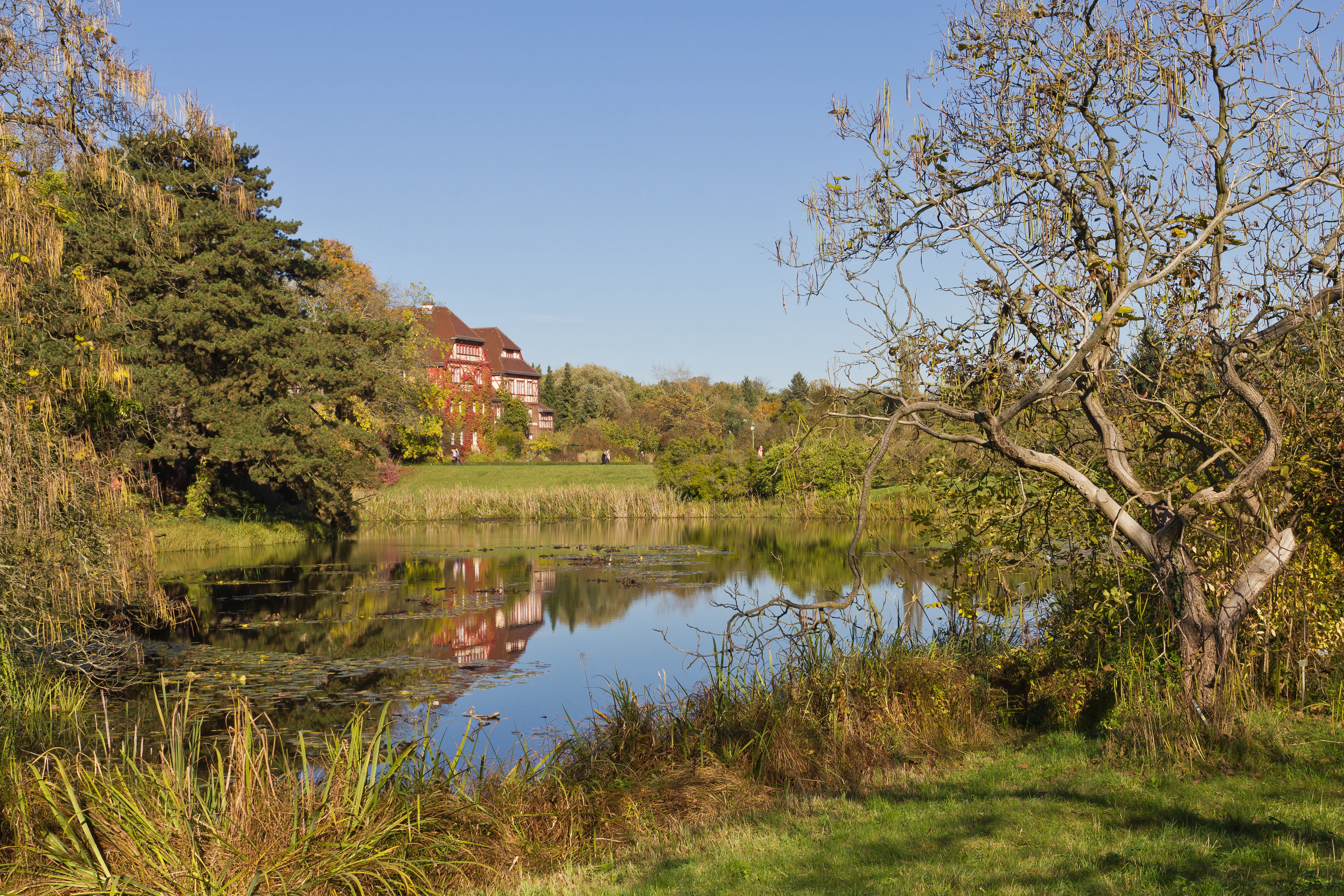 Botanischer Garten Berlin-Dahlem 10-2014 photo01 pond