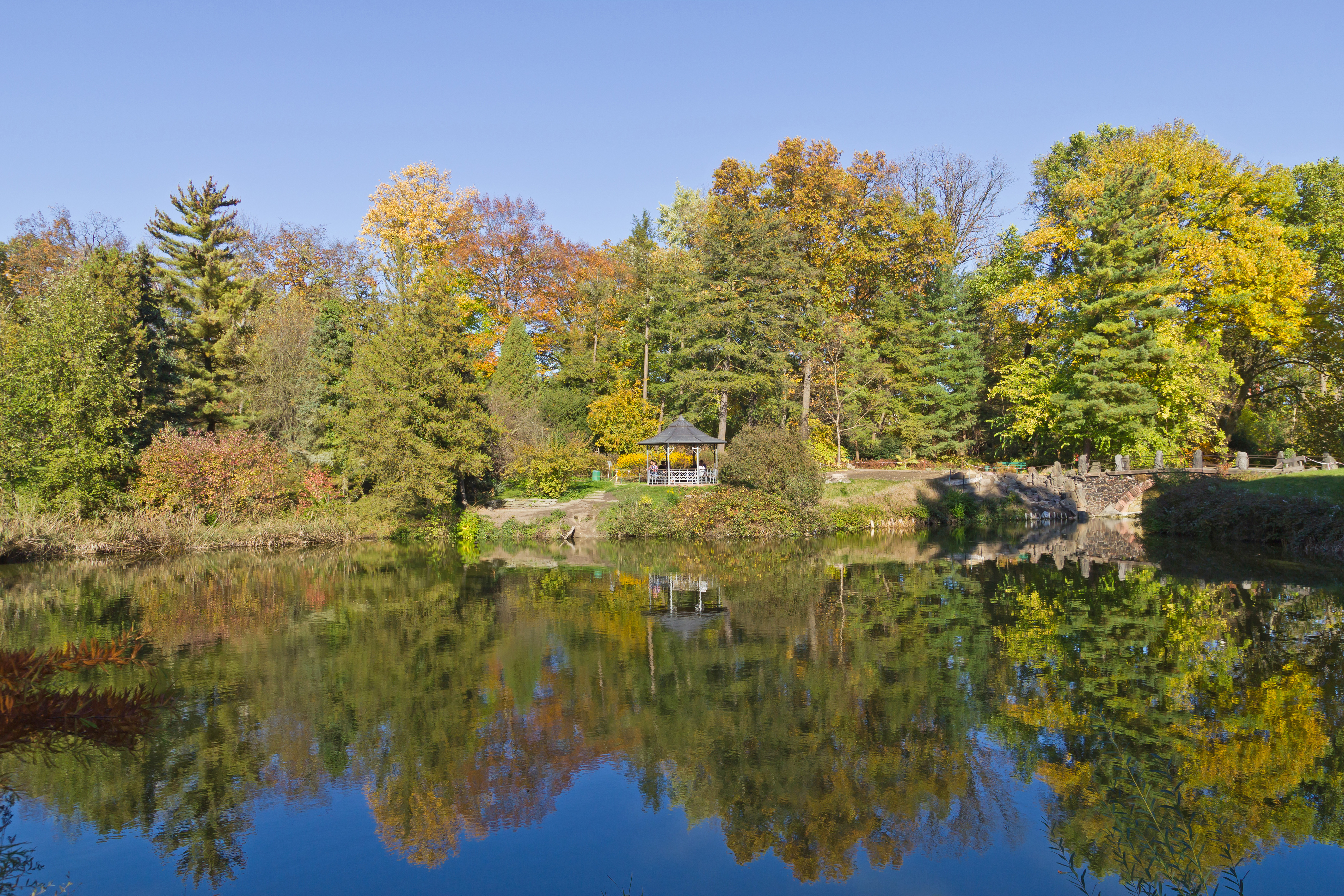 Botanischer Garten Berlin-Dahlem 10-2014 photo04 pond