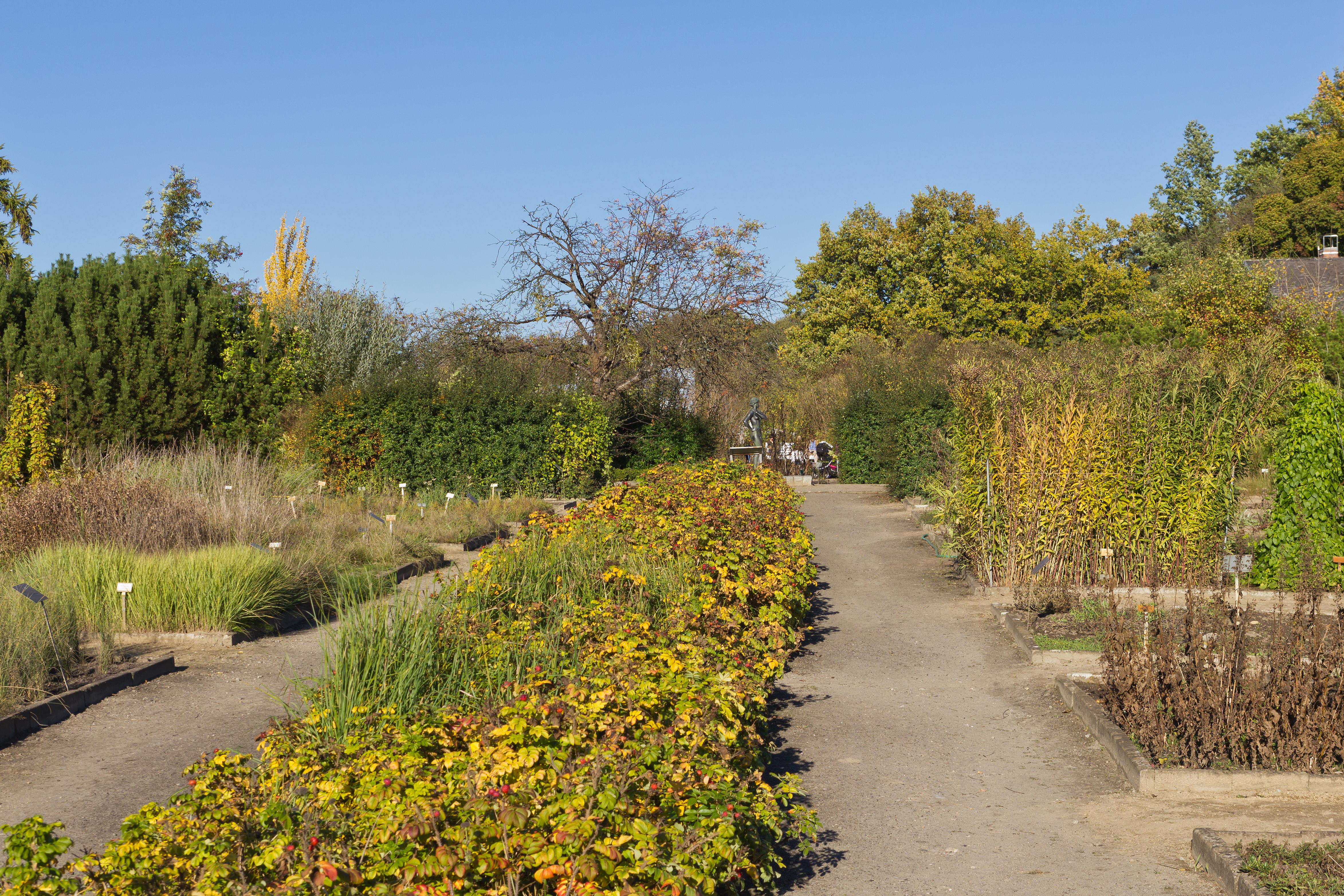 Botanischer Garten Berlin-Dahlem 10-2014 photo19 alley