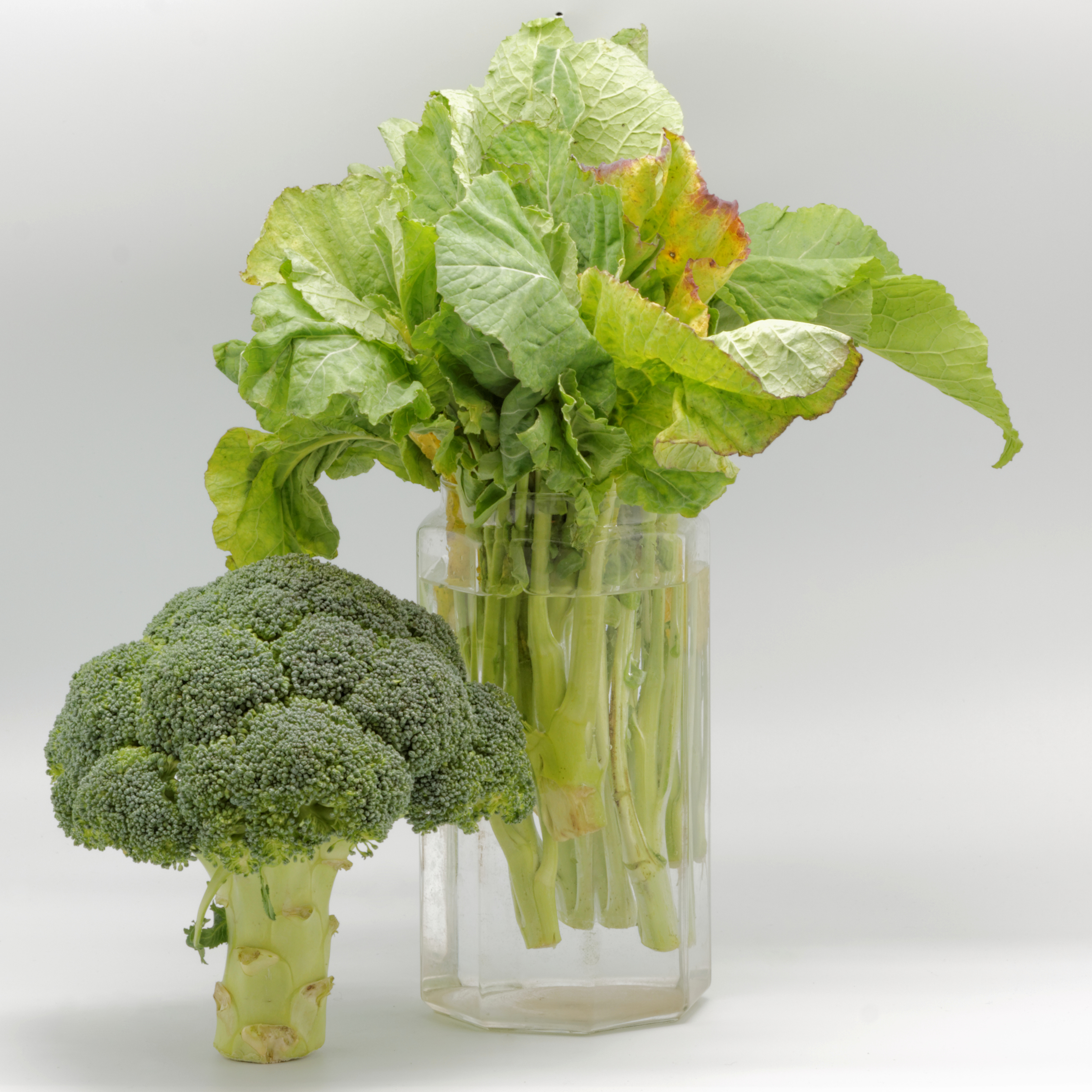 Brocoli 12