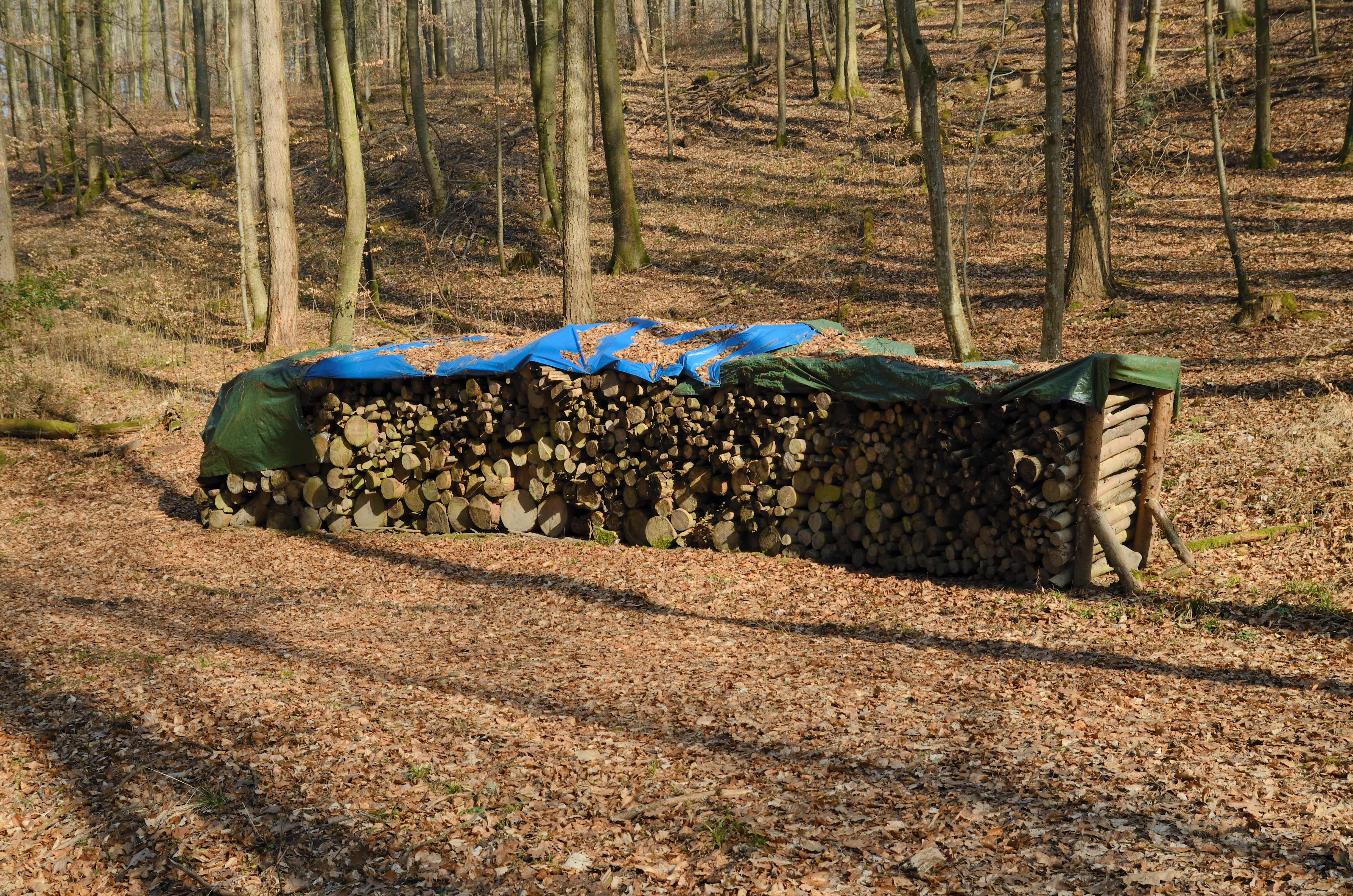 Brombach - Holzhaufen