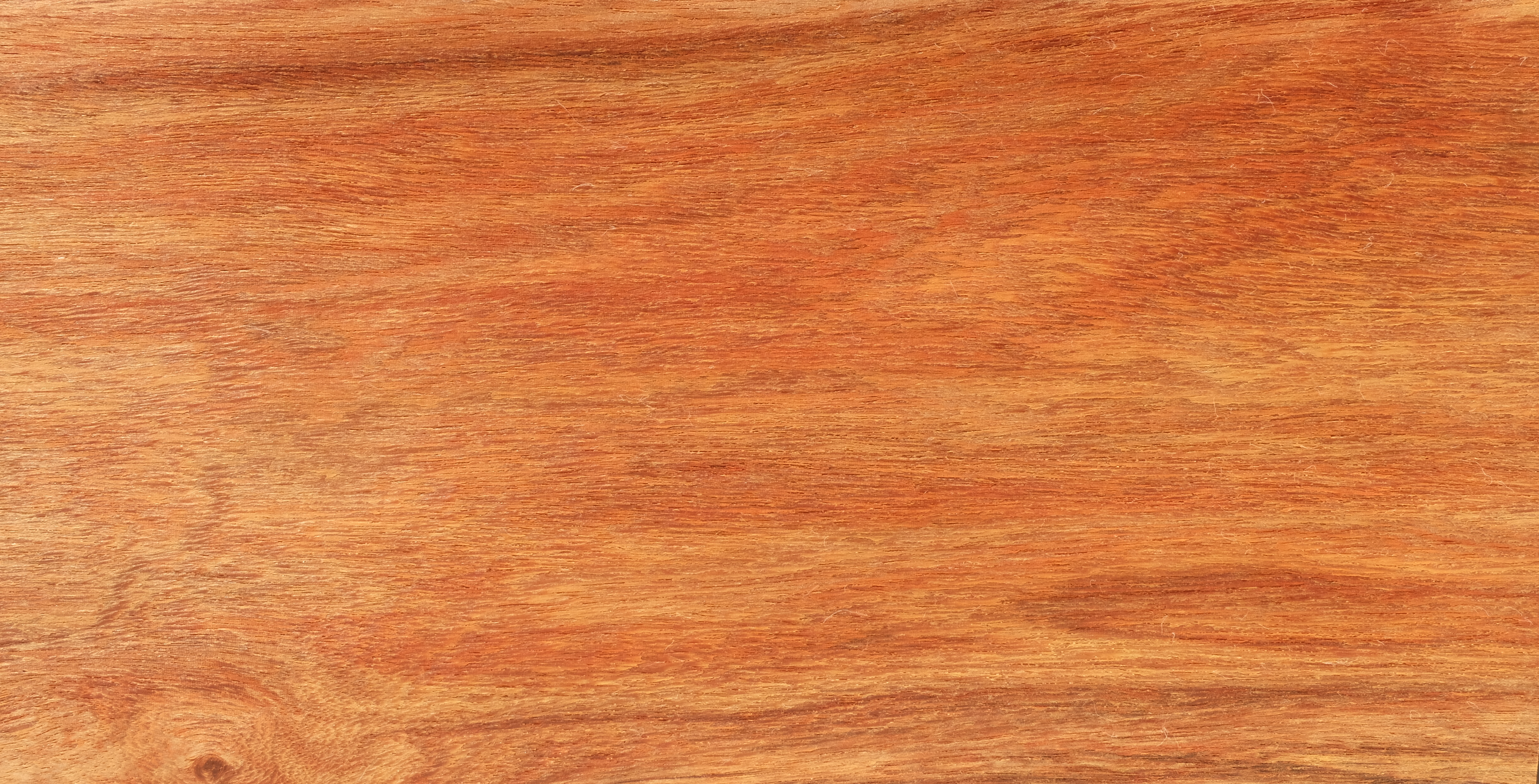 Chingchan Holz