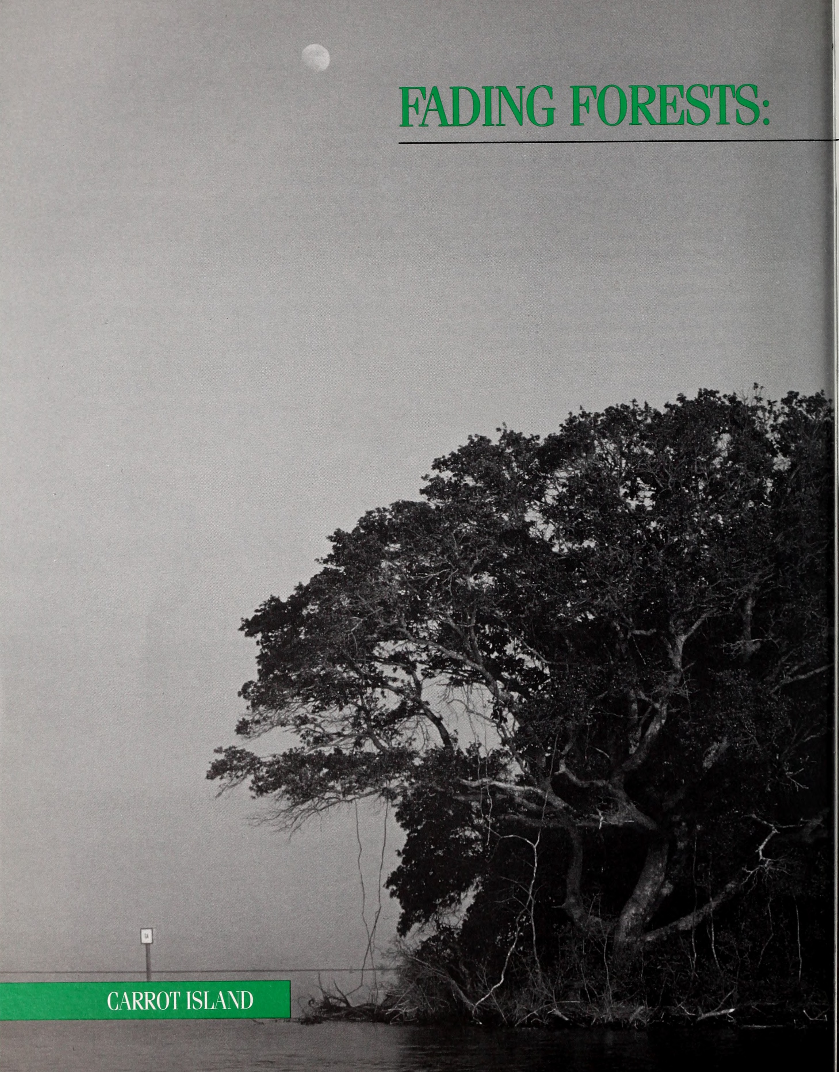 Coast watch (1979) (20650110292)