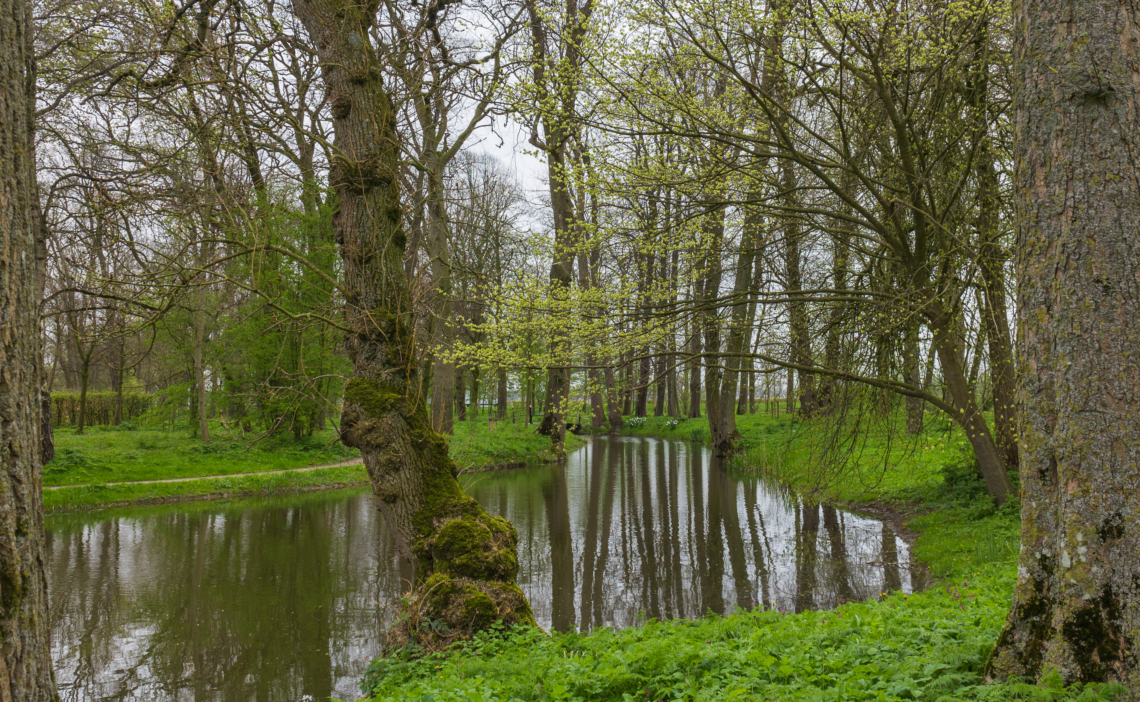 Cornjum, Martenastate 002