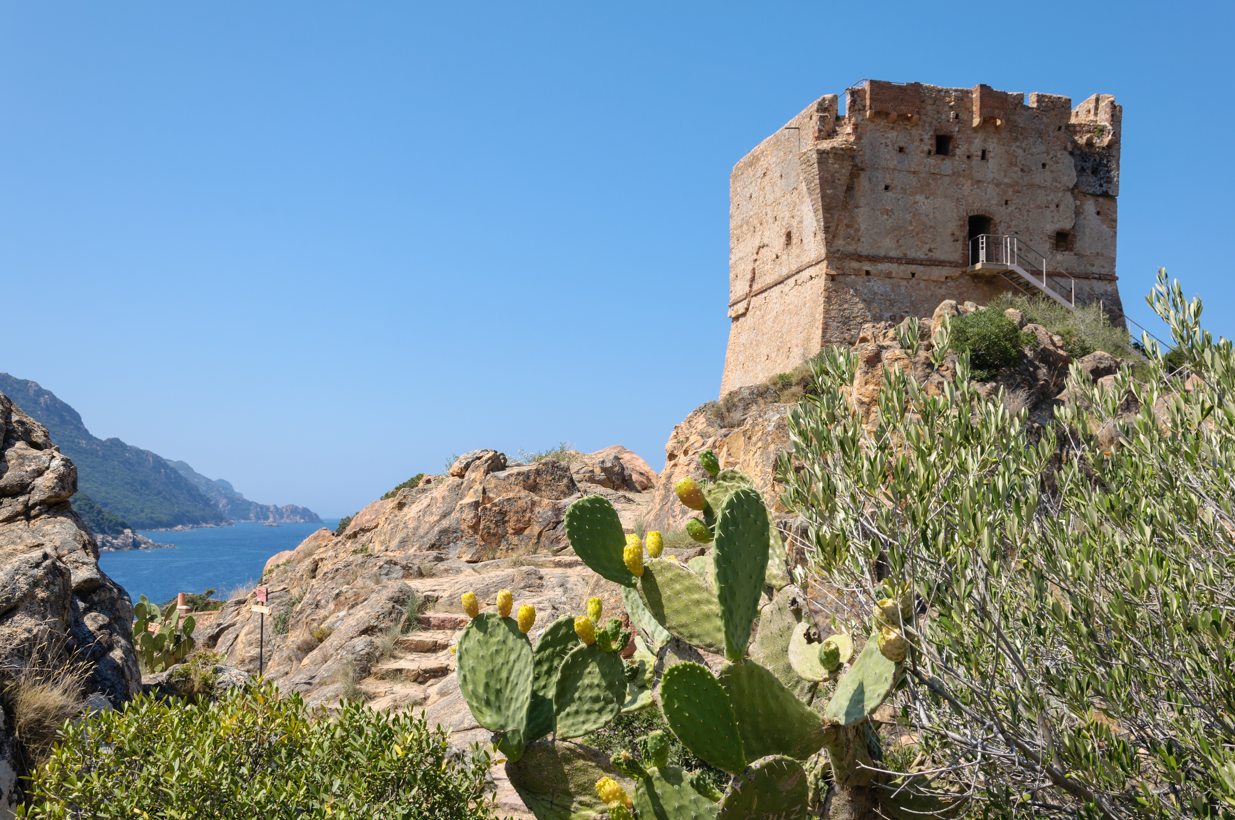Corse Porto tour genoise
