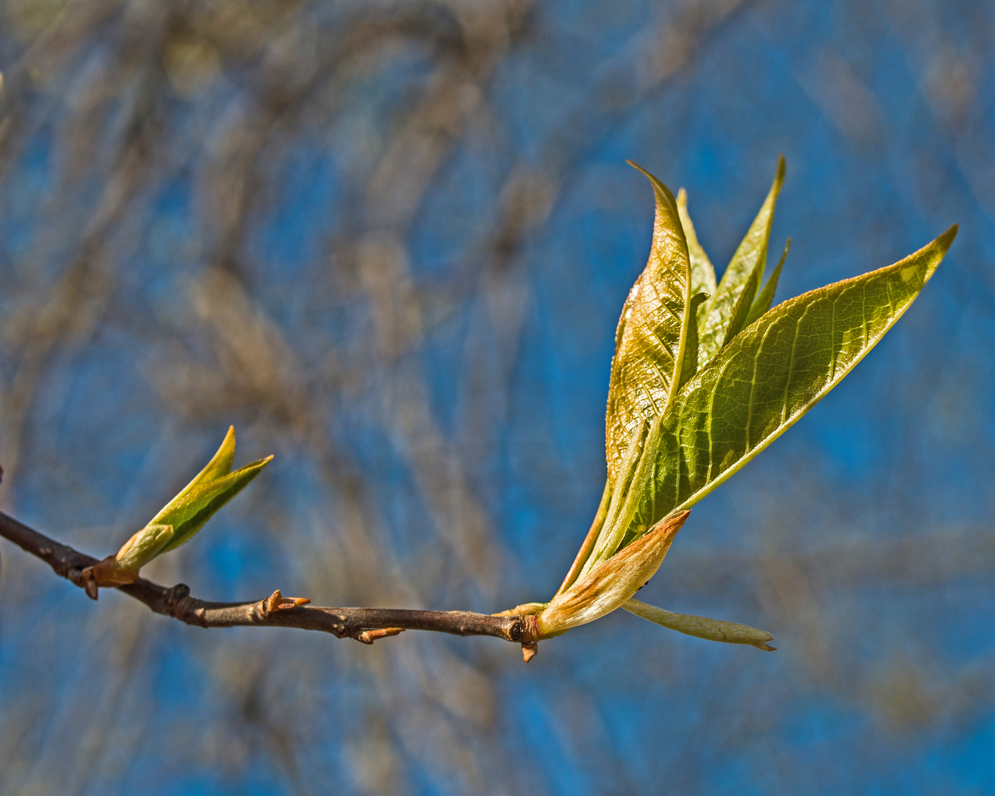 D8E 5753 (13900103914)