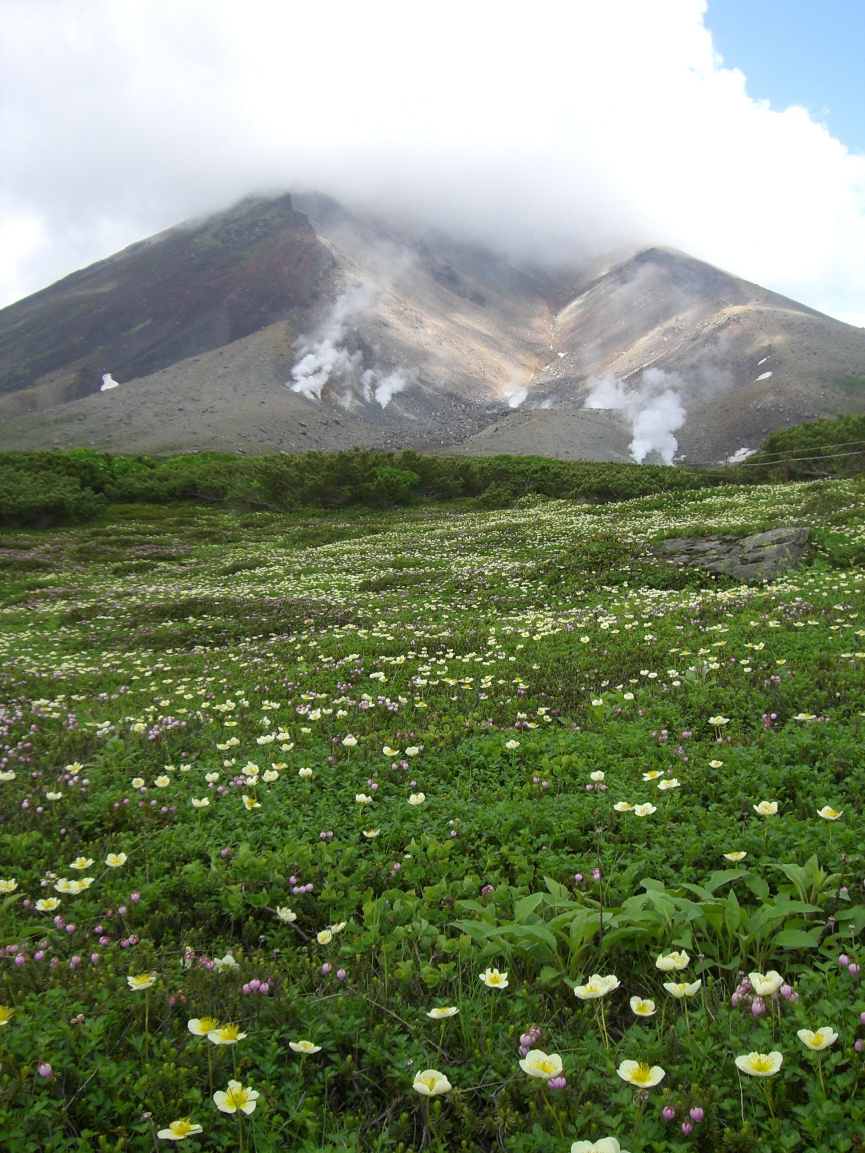 Daisetsu-zan asahidake with flowers