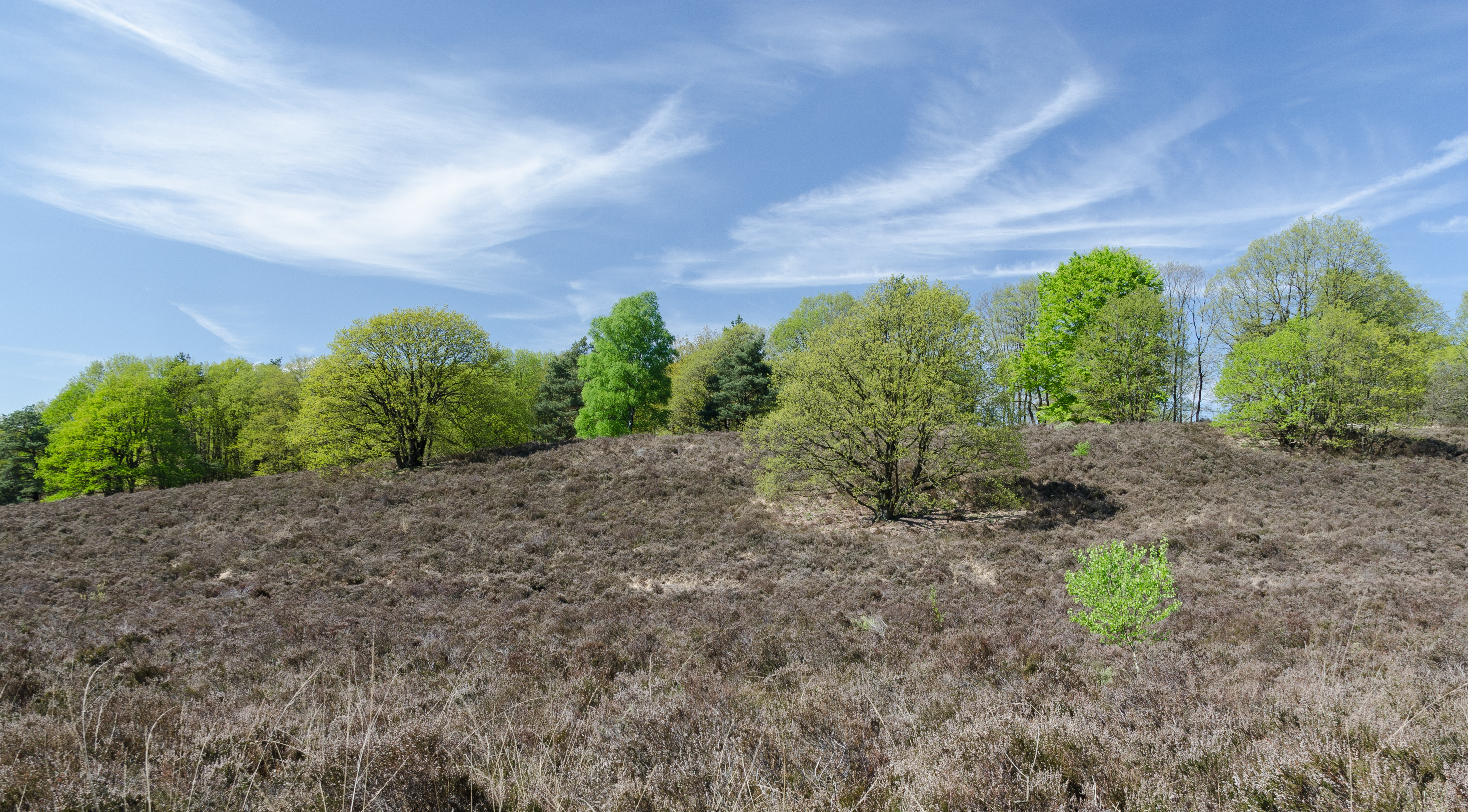 De-Meinweg-Landschaft-Fruehjahr-2013-05