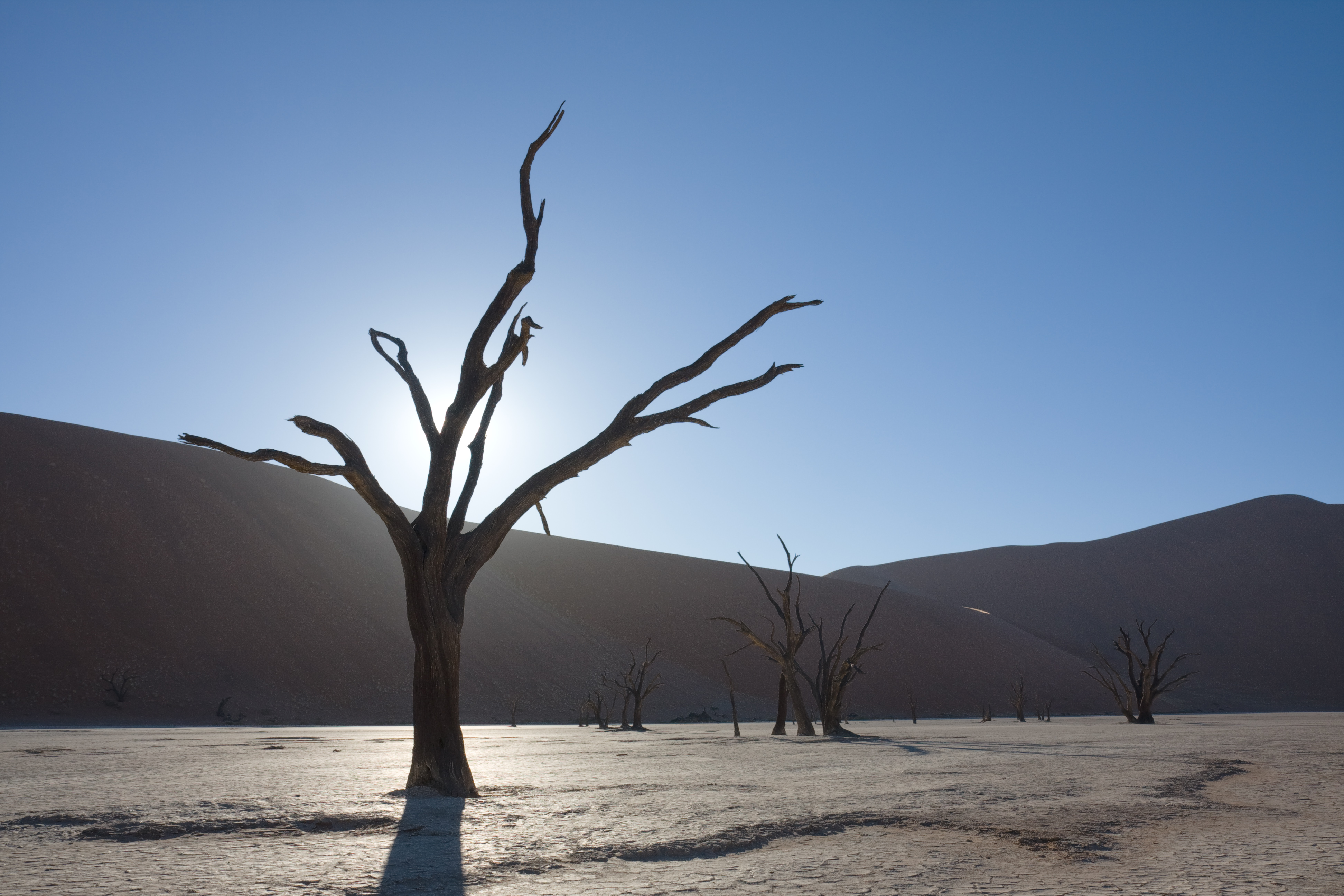 Dead Vlei 3