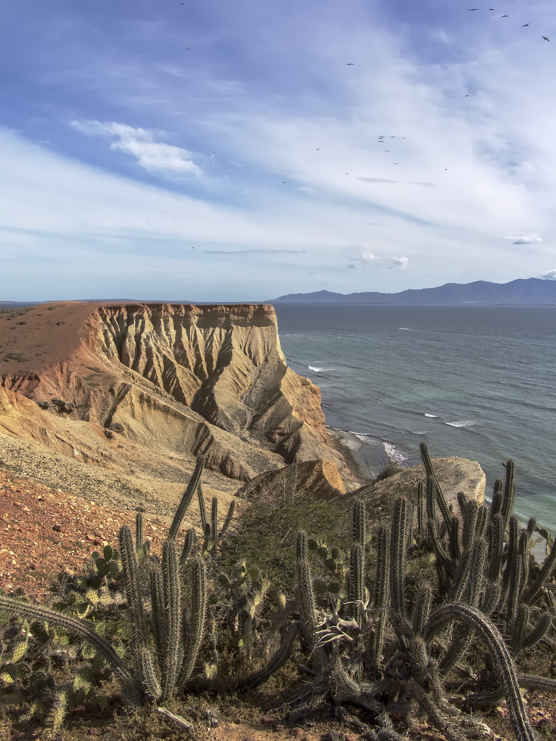El Coco, Coche Island