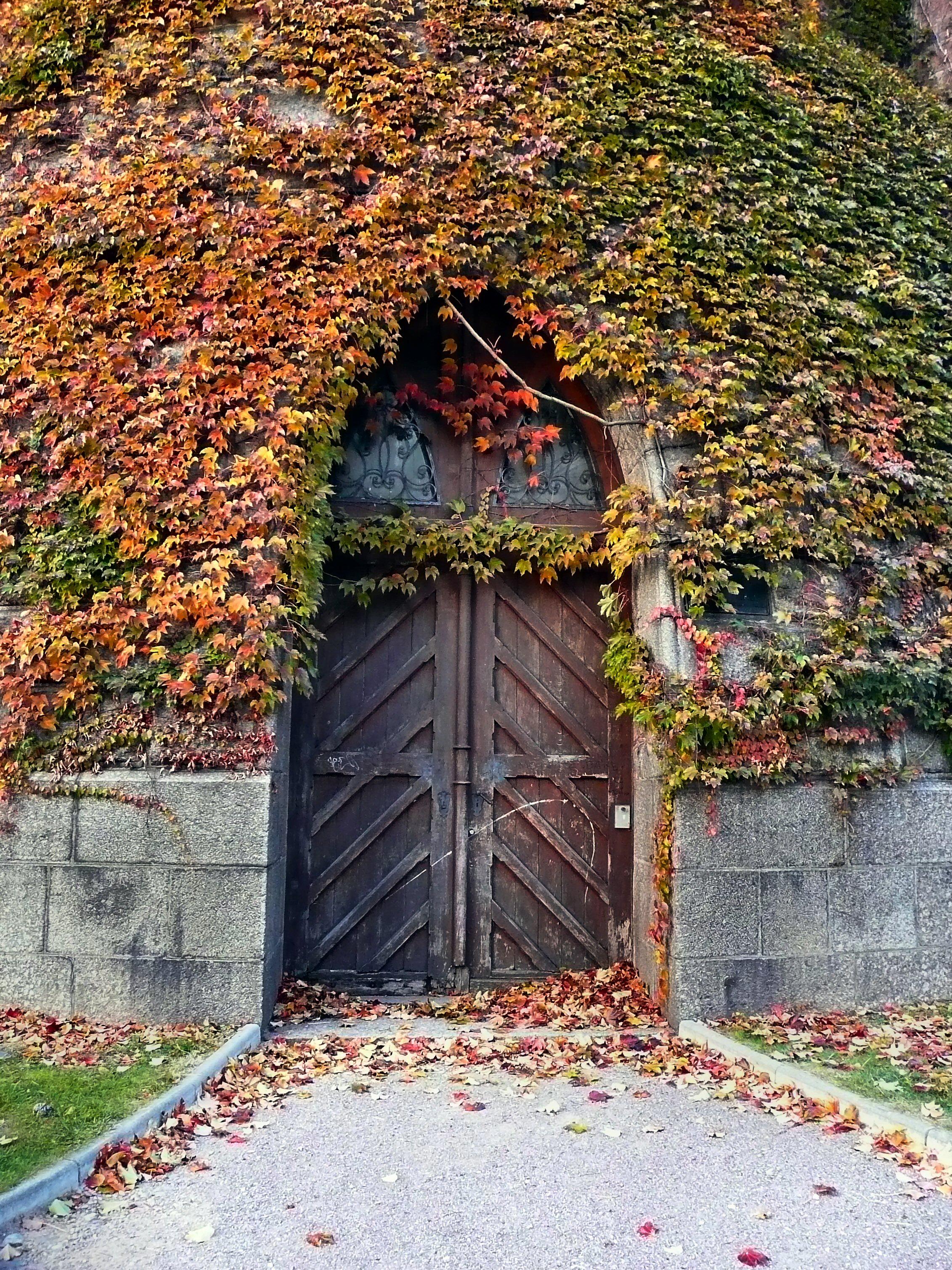 Entrance of Colmar's watertower