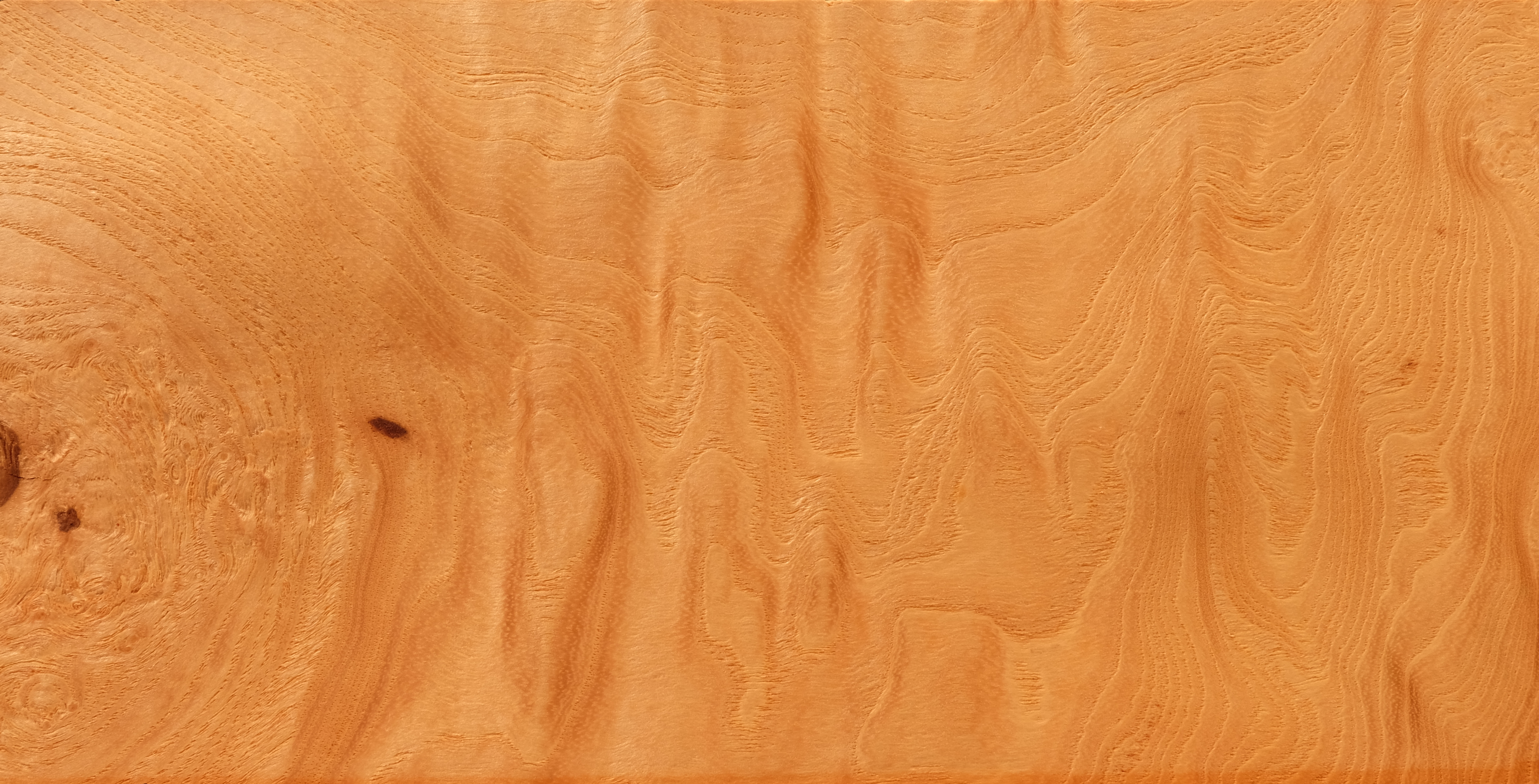 Esche Maser Holz