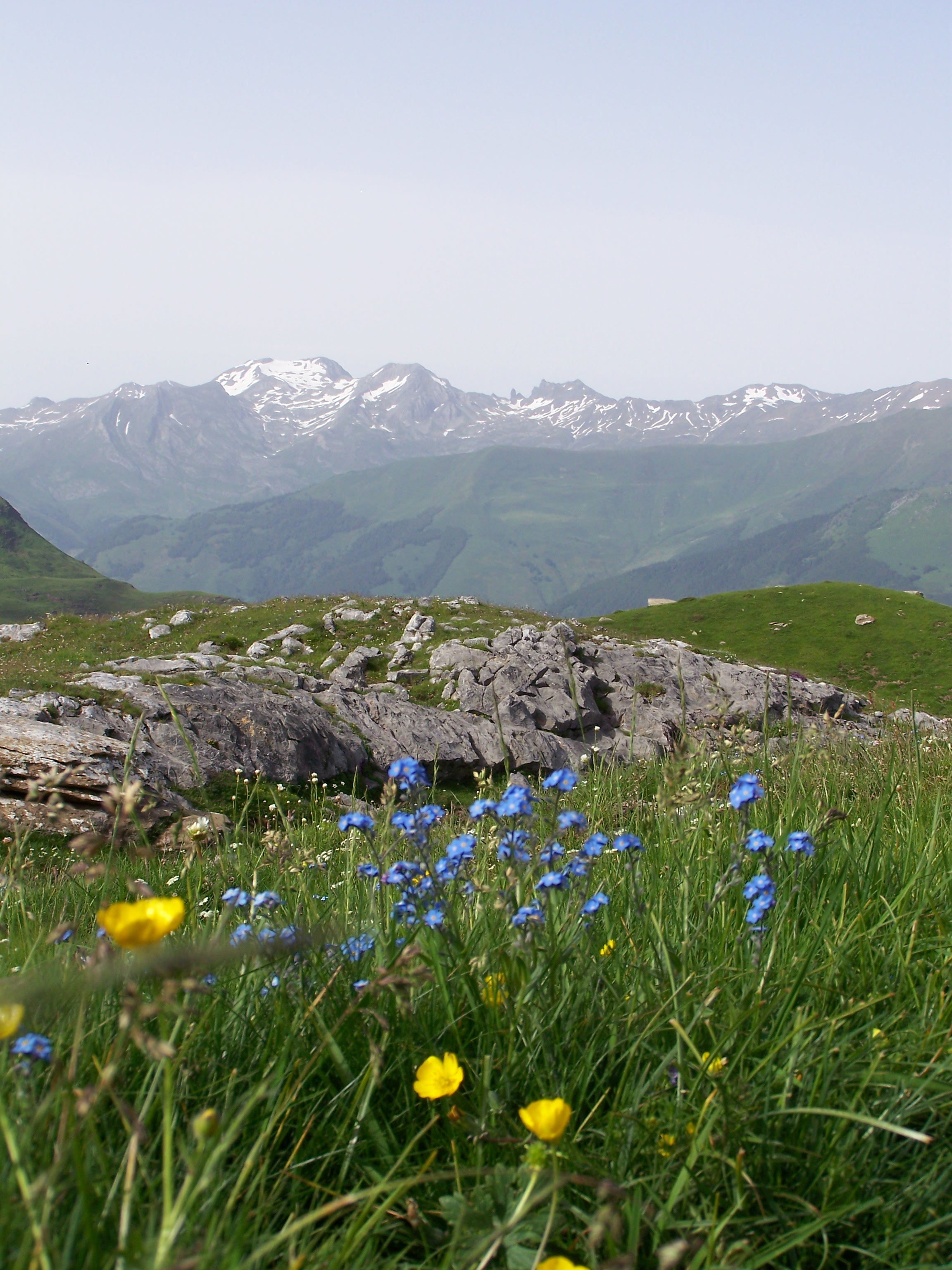 Estanes5