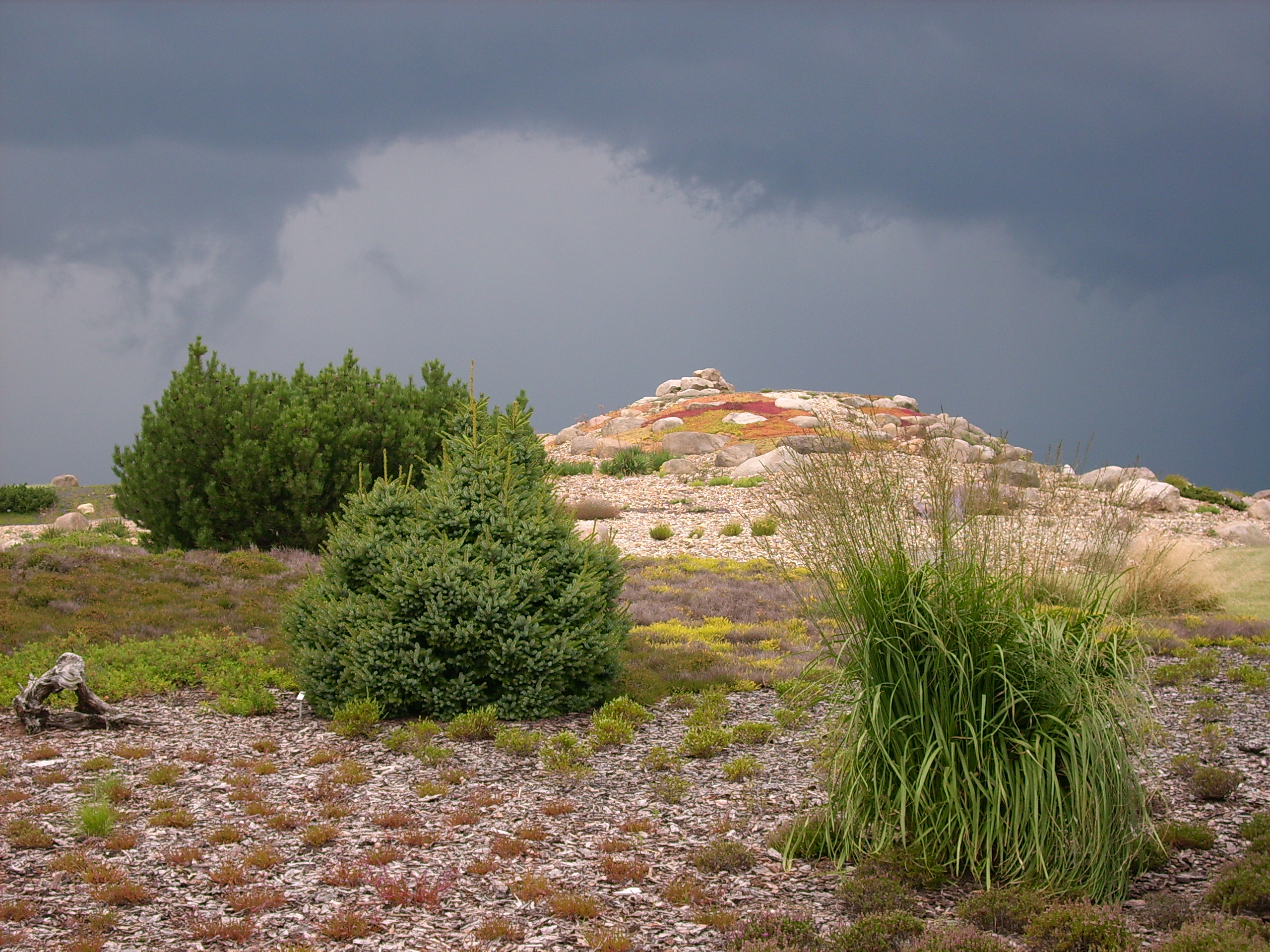 Findlingspark Nochten 5