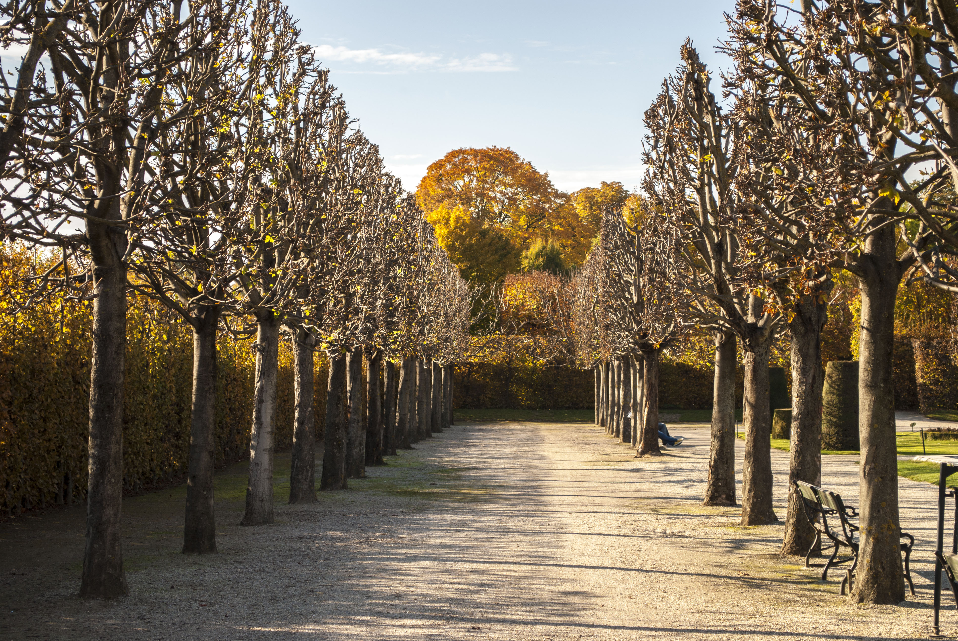 Gardens in Schönbrunn (5)