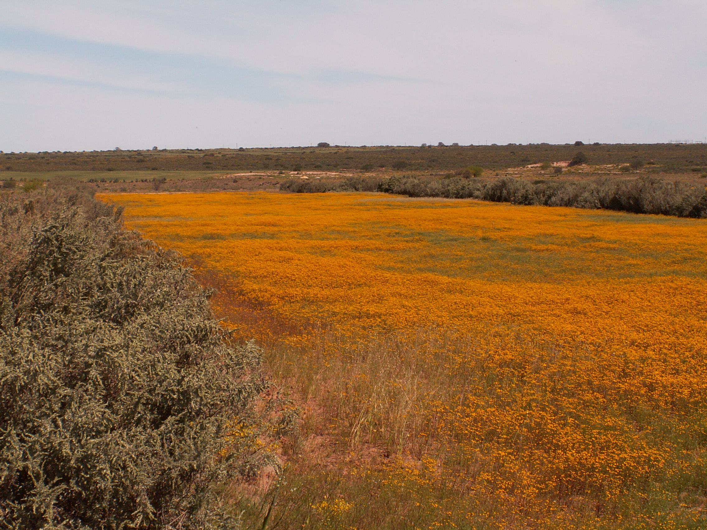 Graafwater PICT2794