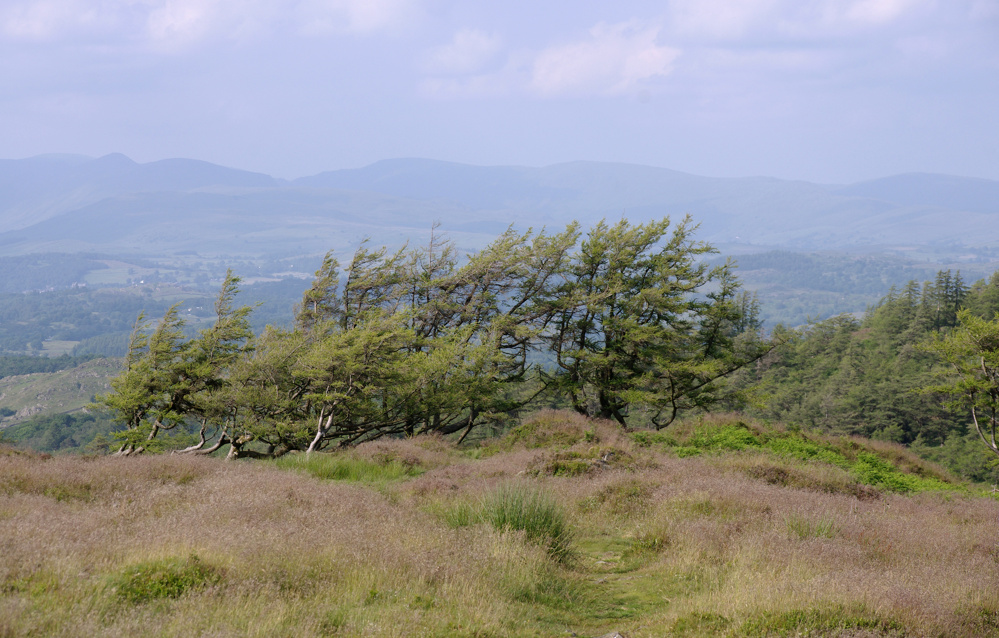 Gummer's How MMB 15