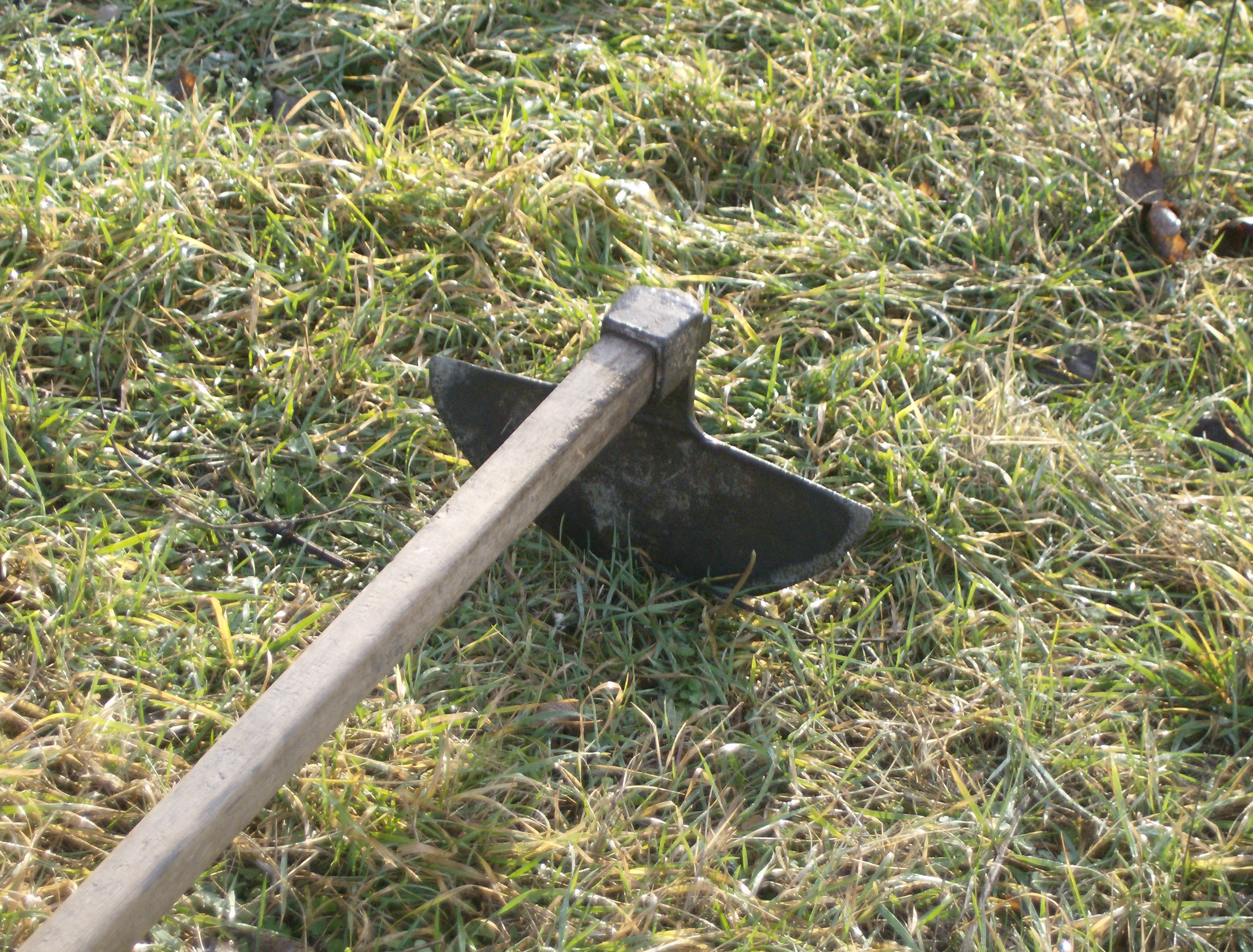 Hoe 1