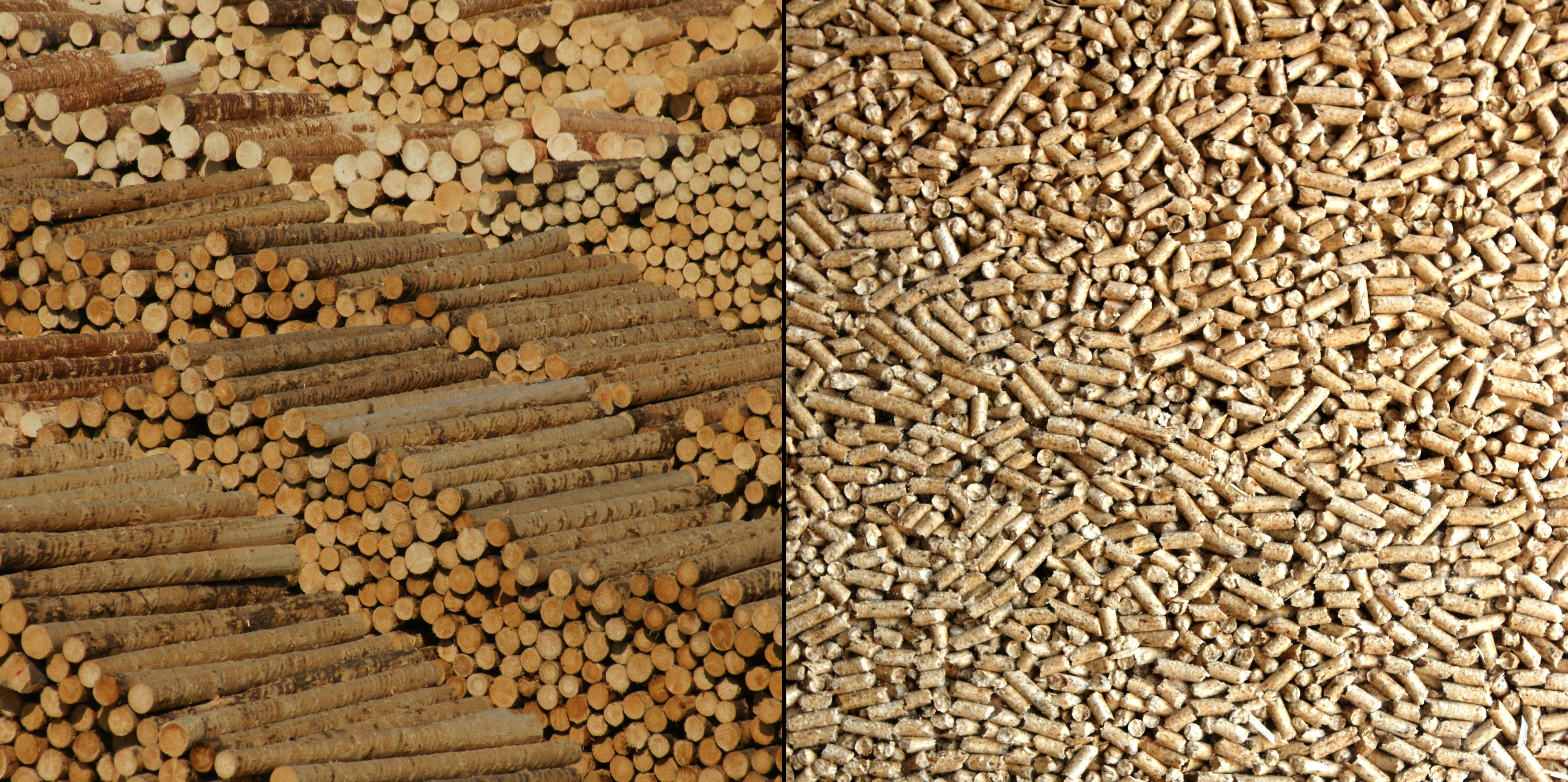 Holz Pellets