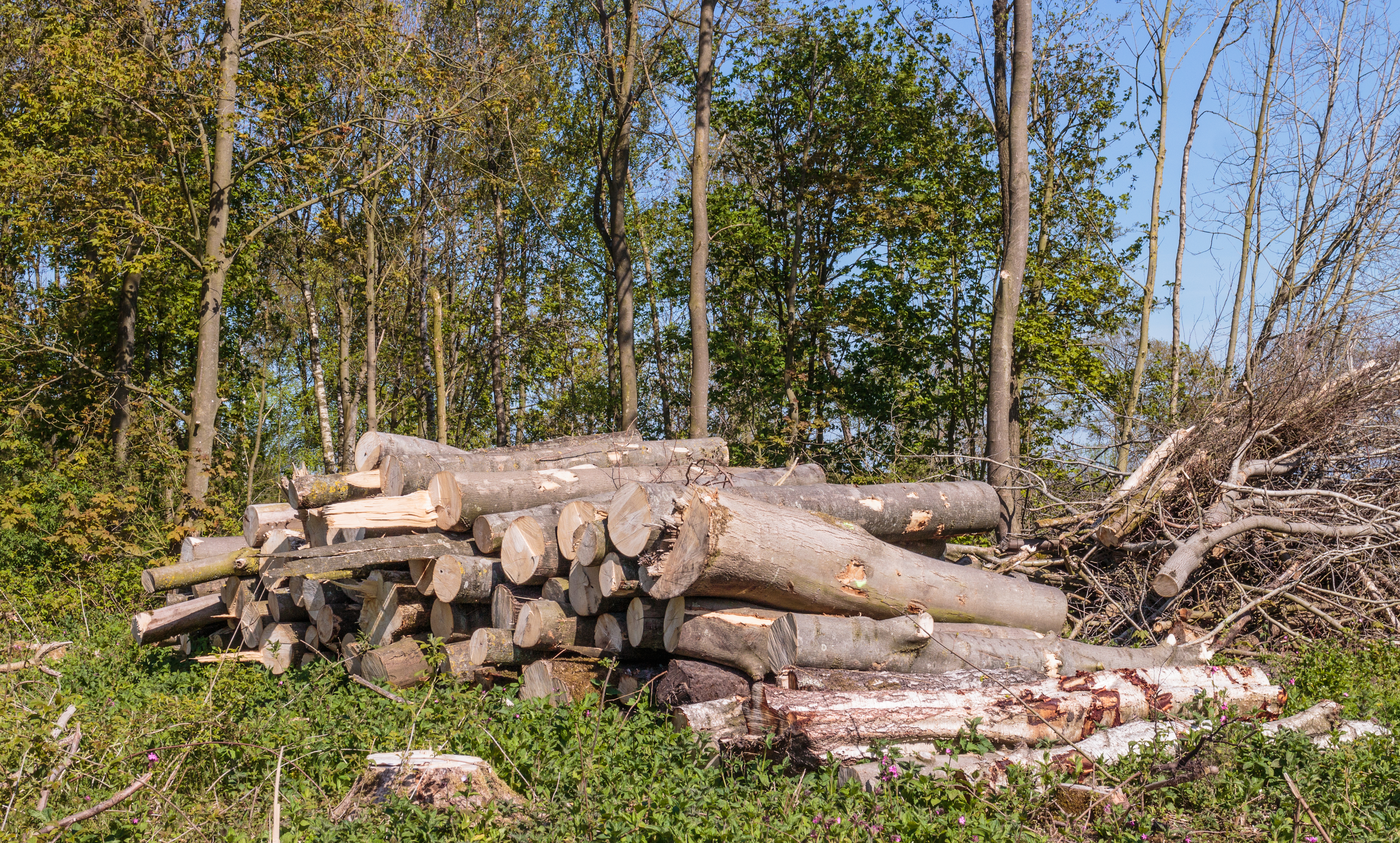 Houtopslag langs pad. Locatie, natuurterrein Beekdal Linde Bekhofplas 03