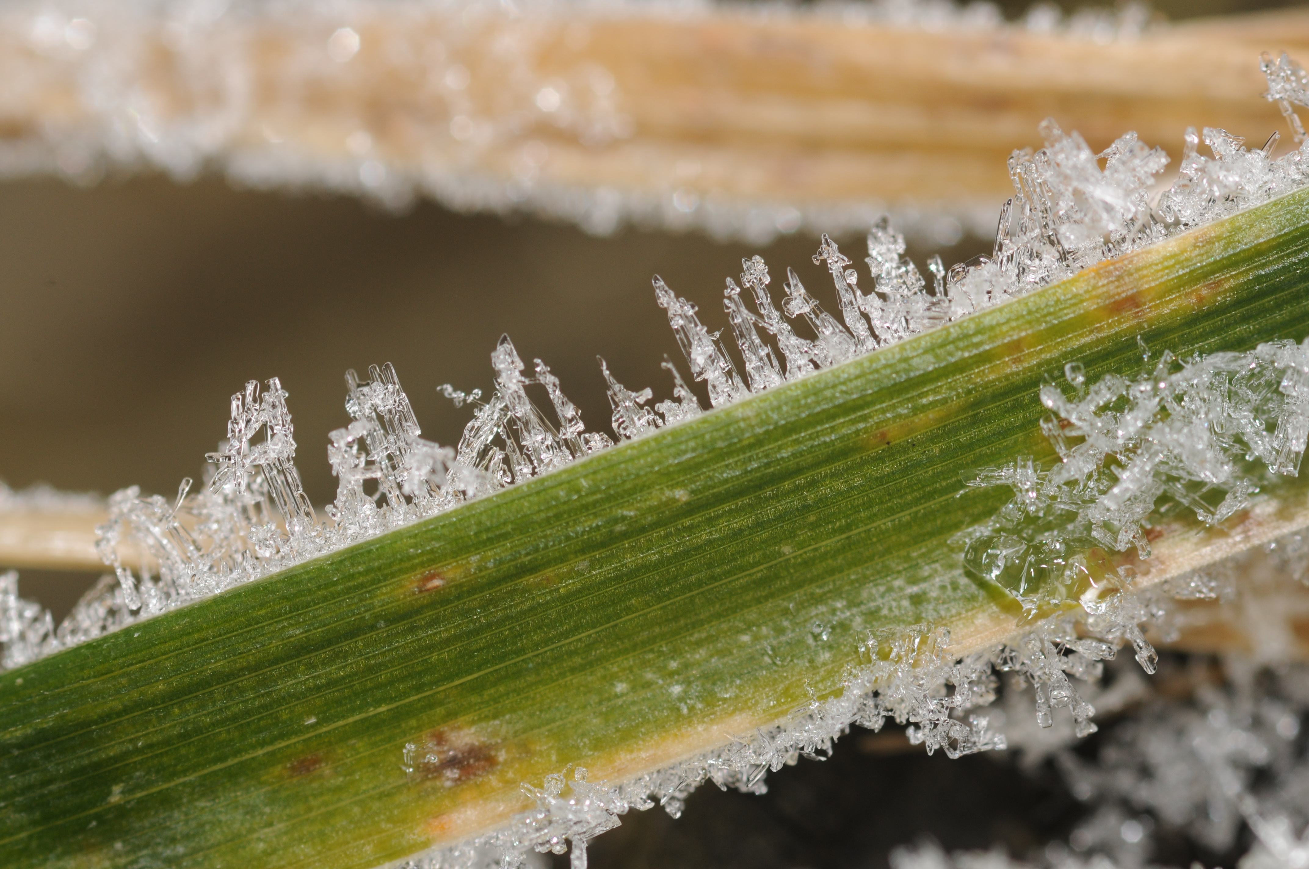 Ice-in-nature-3