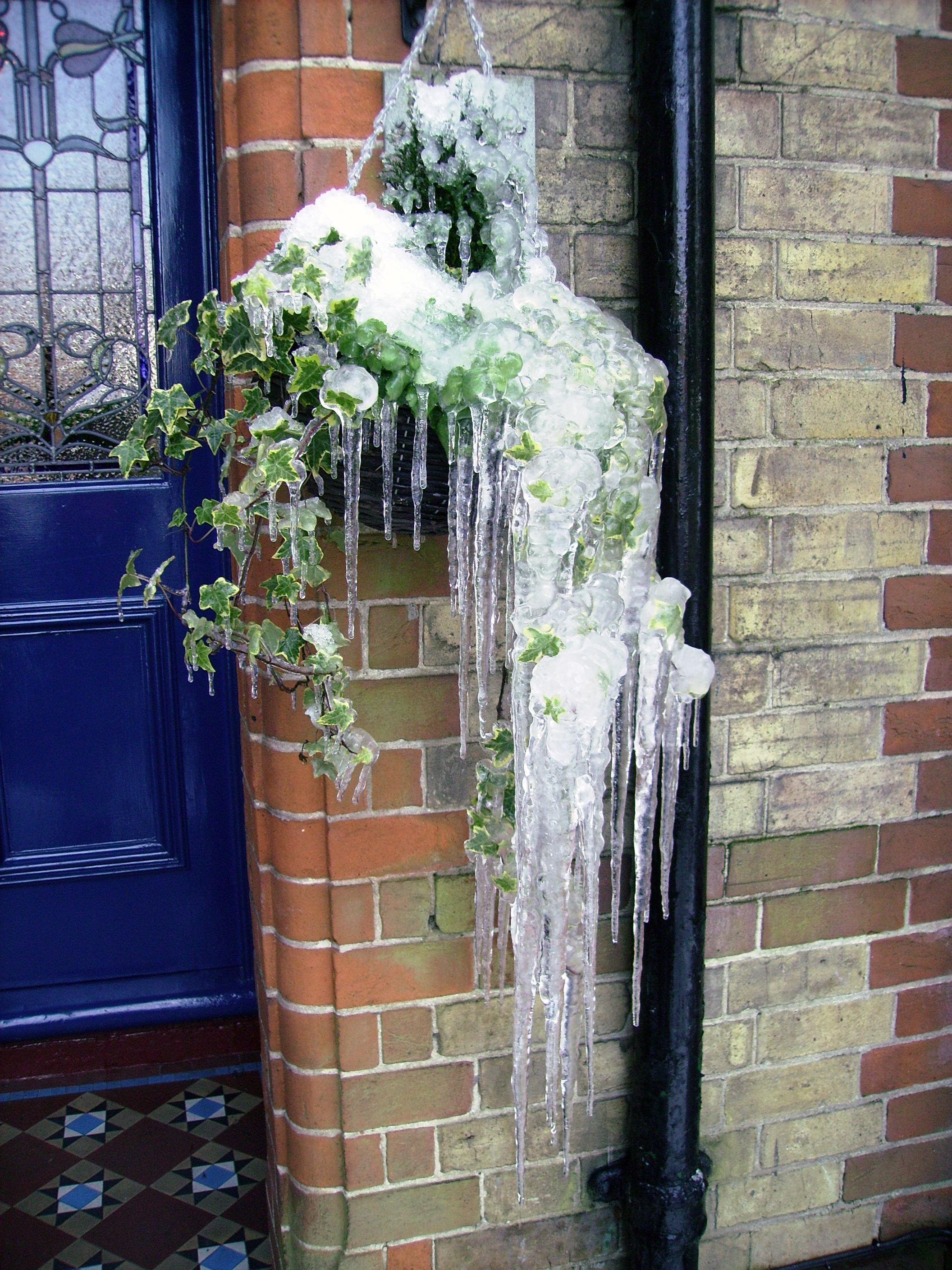 Icicles (3251128430)