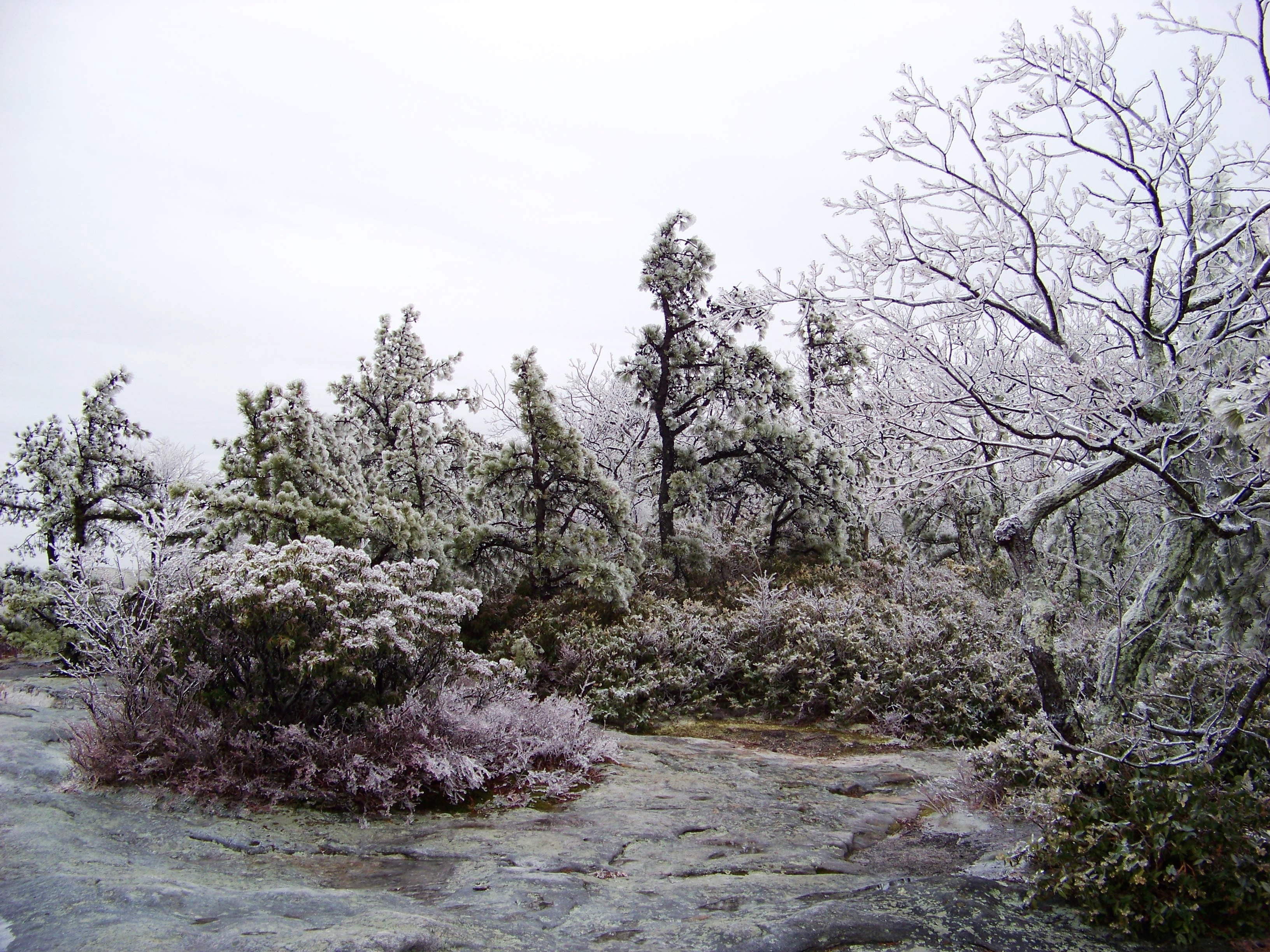 Icy Wonderland - panoramio