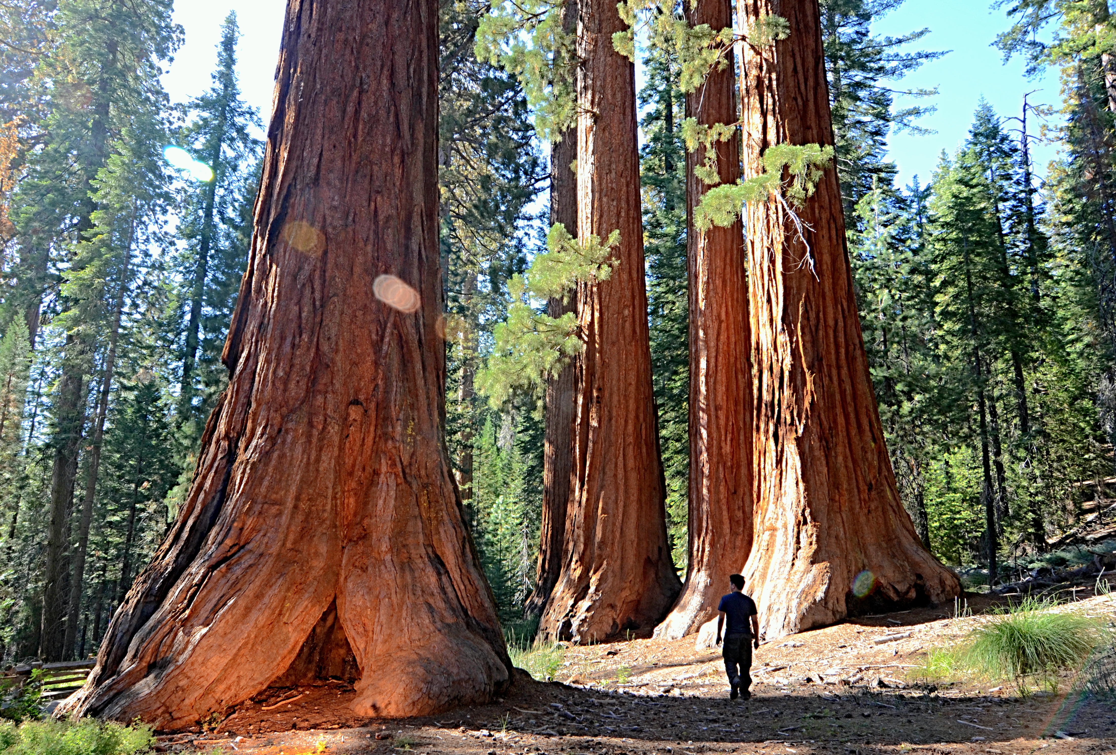 In the Land of the Giants (7975508659)