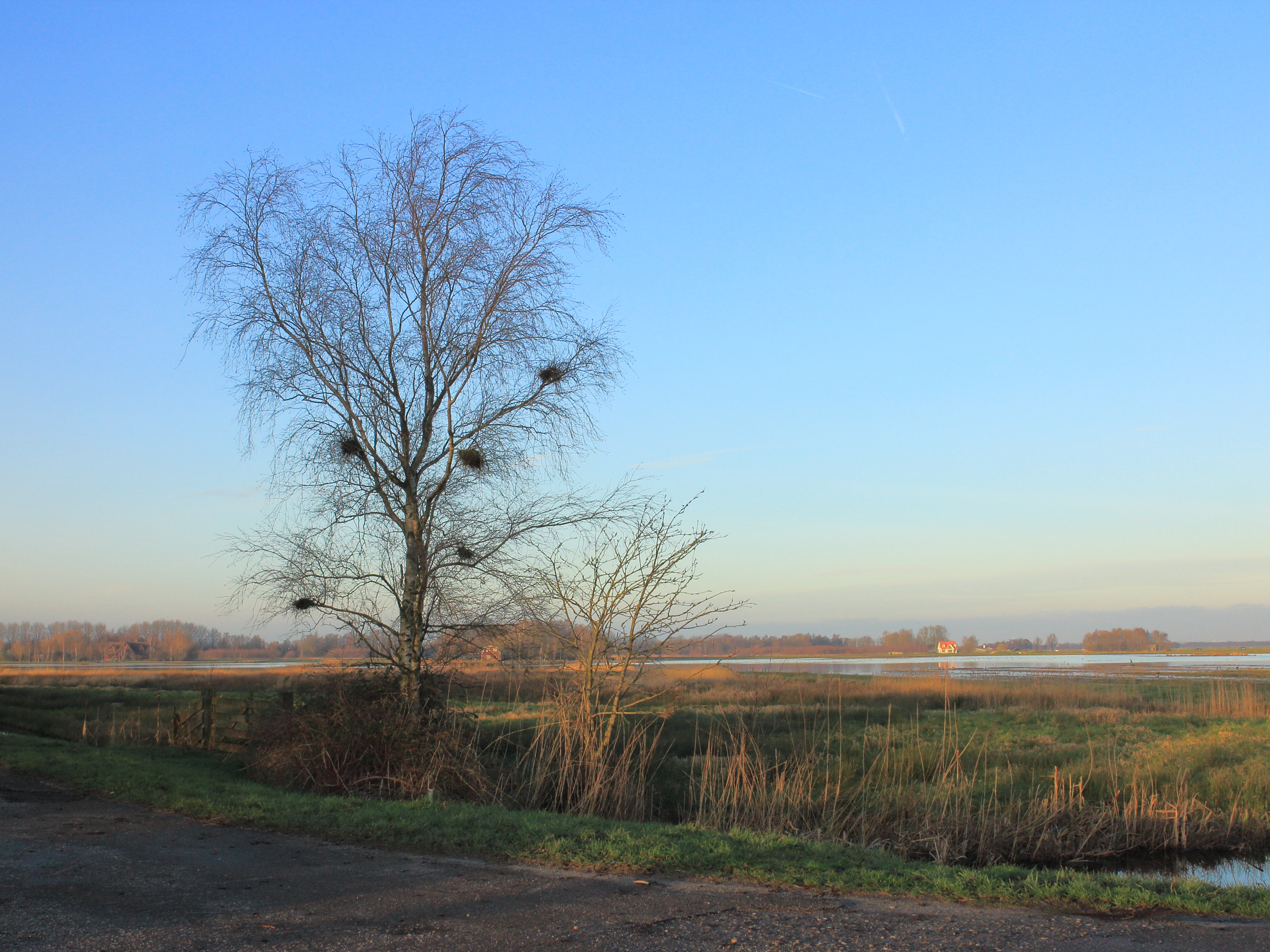 Jan Durkspolder in De Alde Feanen 02