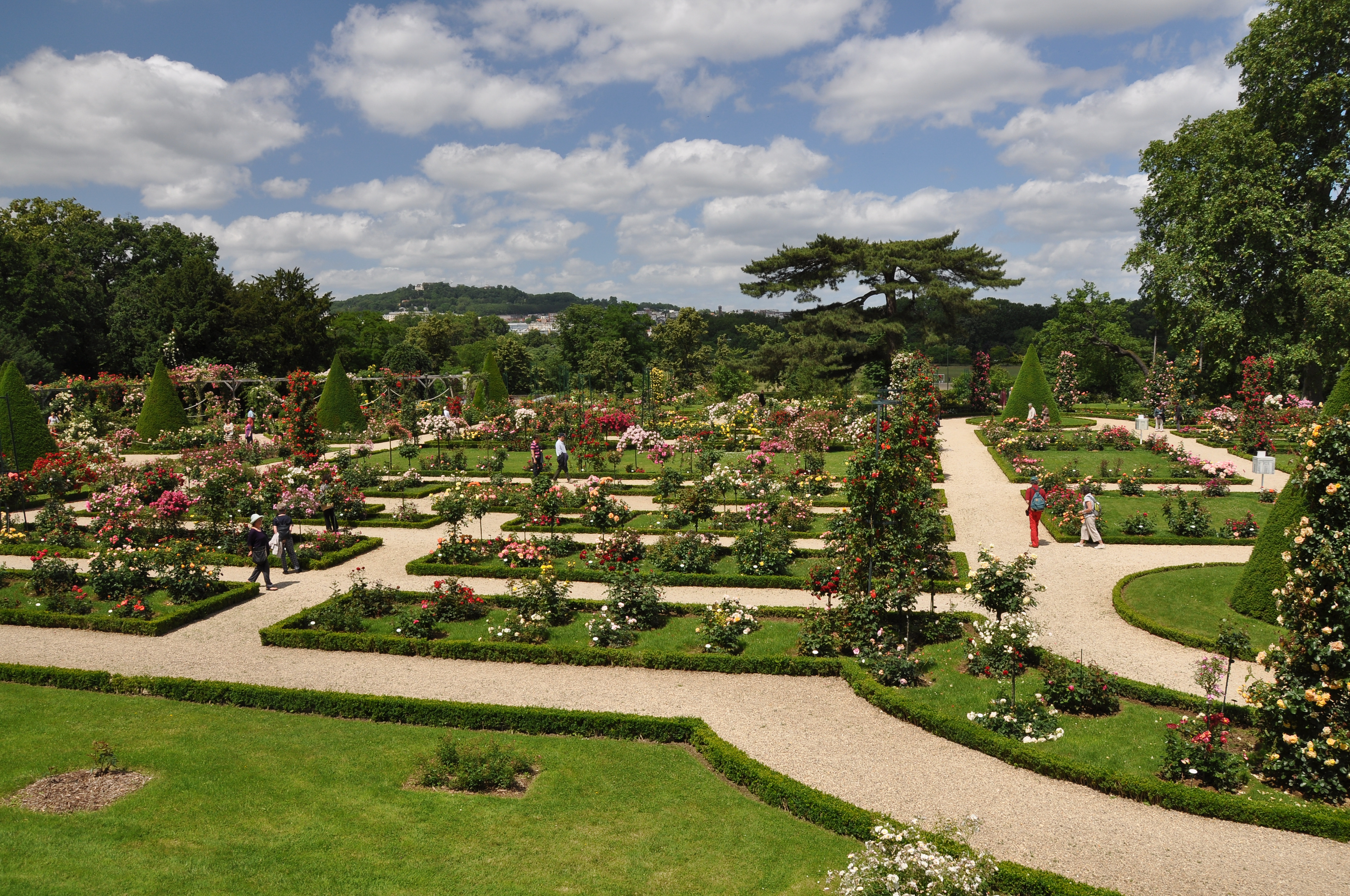 Jardin de Bagatelle 001