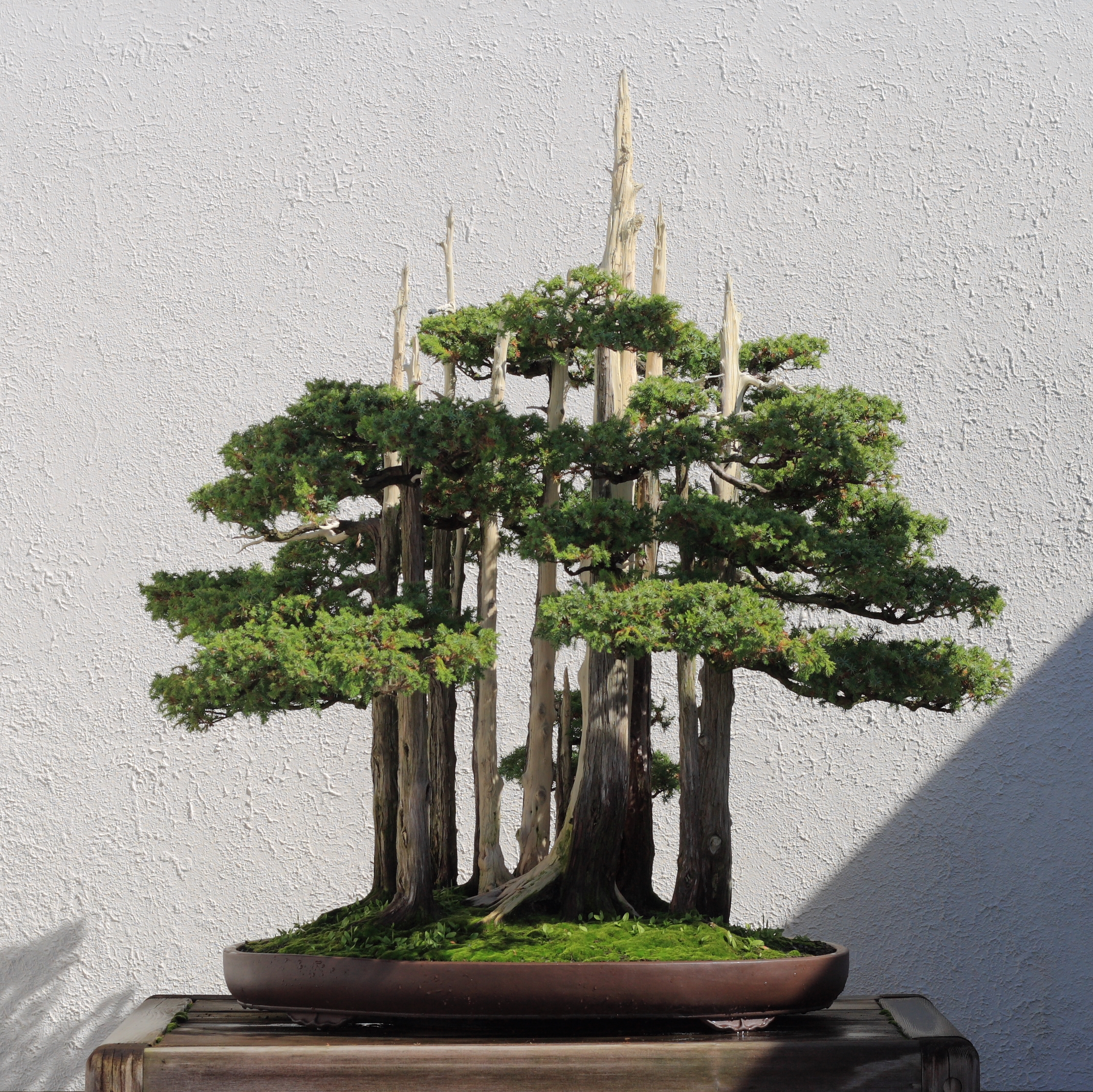 John Naka's Goshin, October 10, 2008