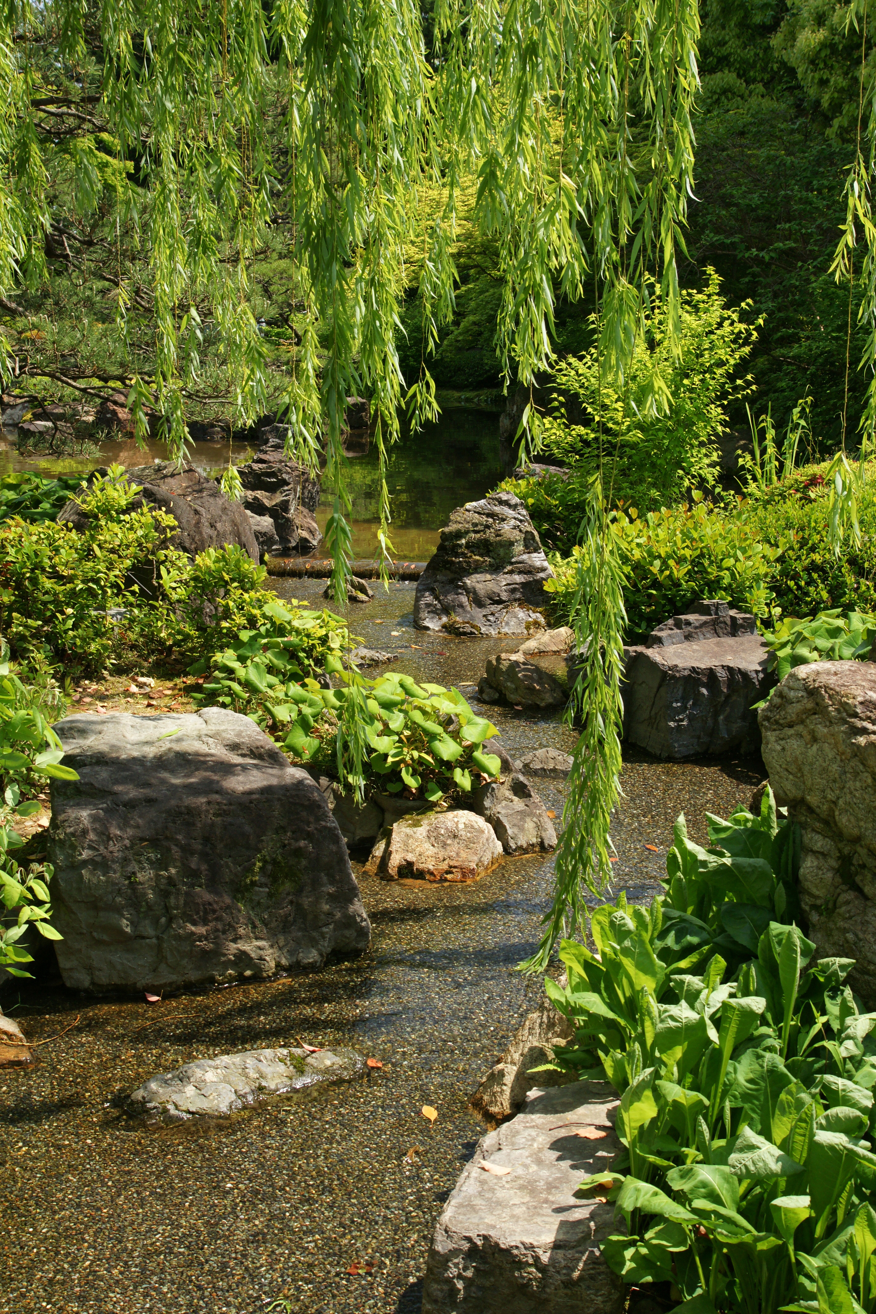 Jonangu Kyoto29n4272