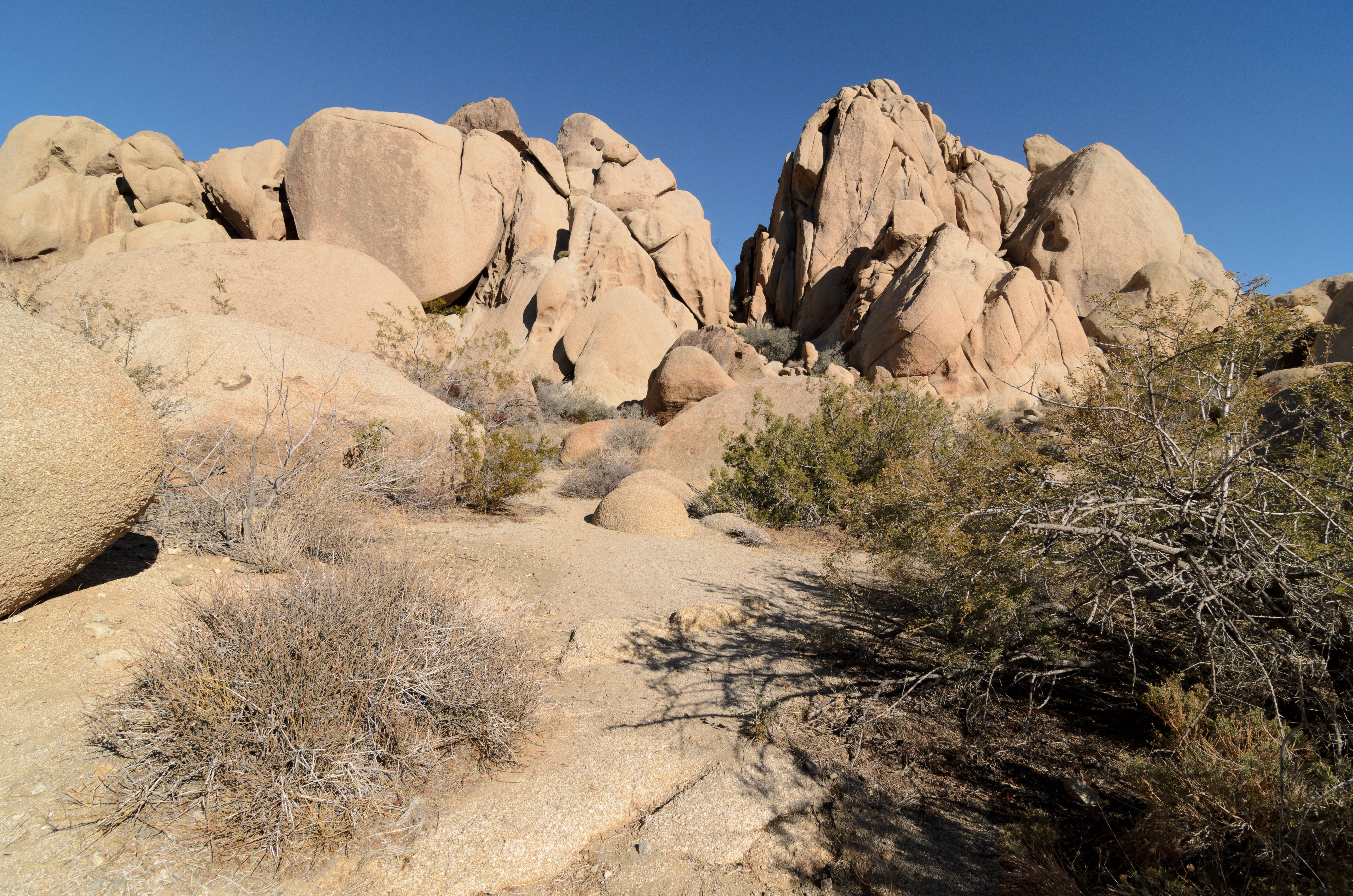 Joshua Tree National Park December 2013 005