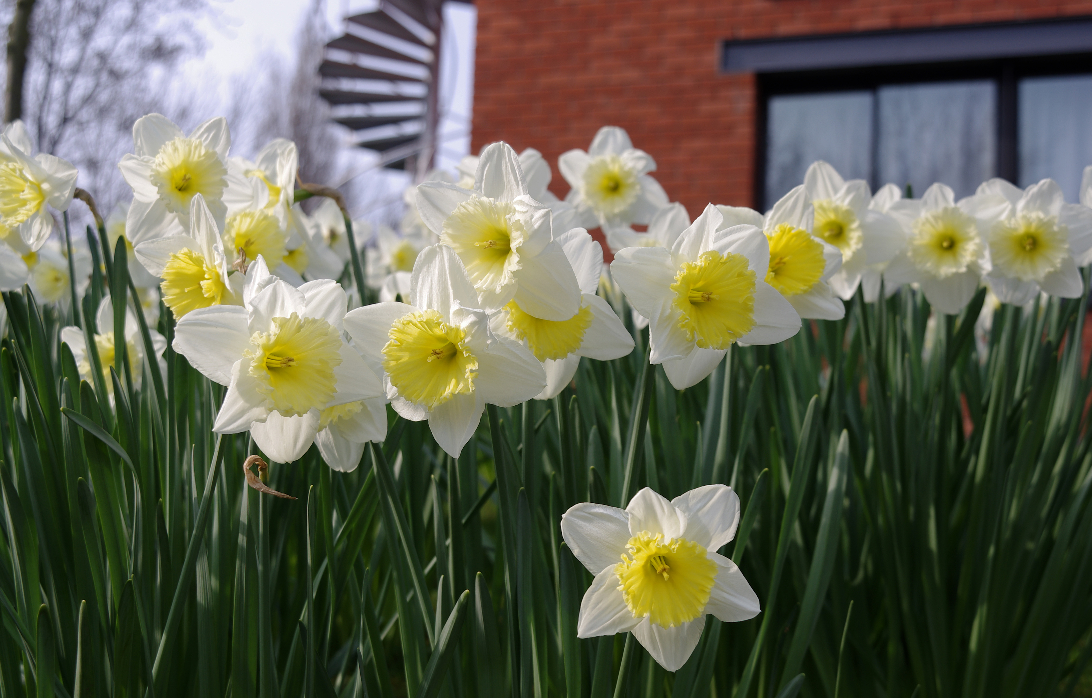 Jubilee Campus MMB Q0 Melton Hall