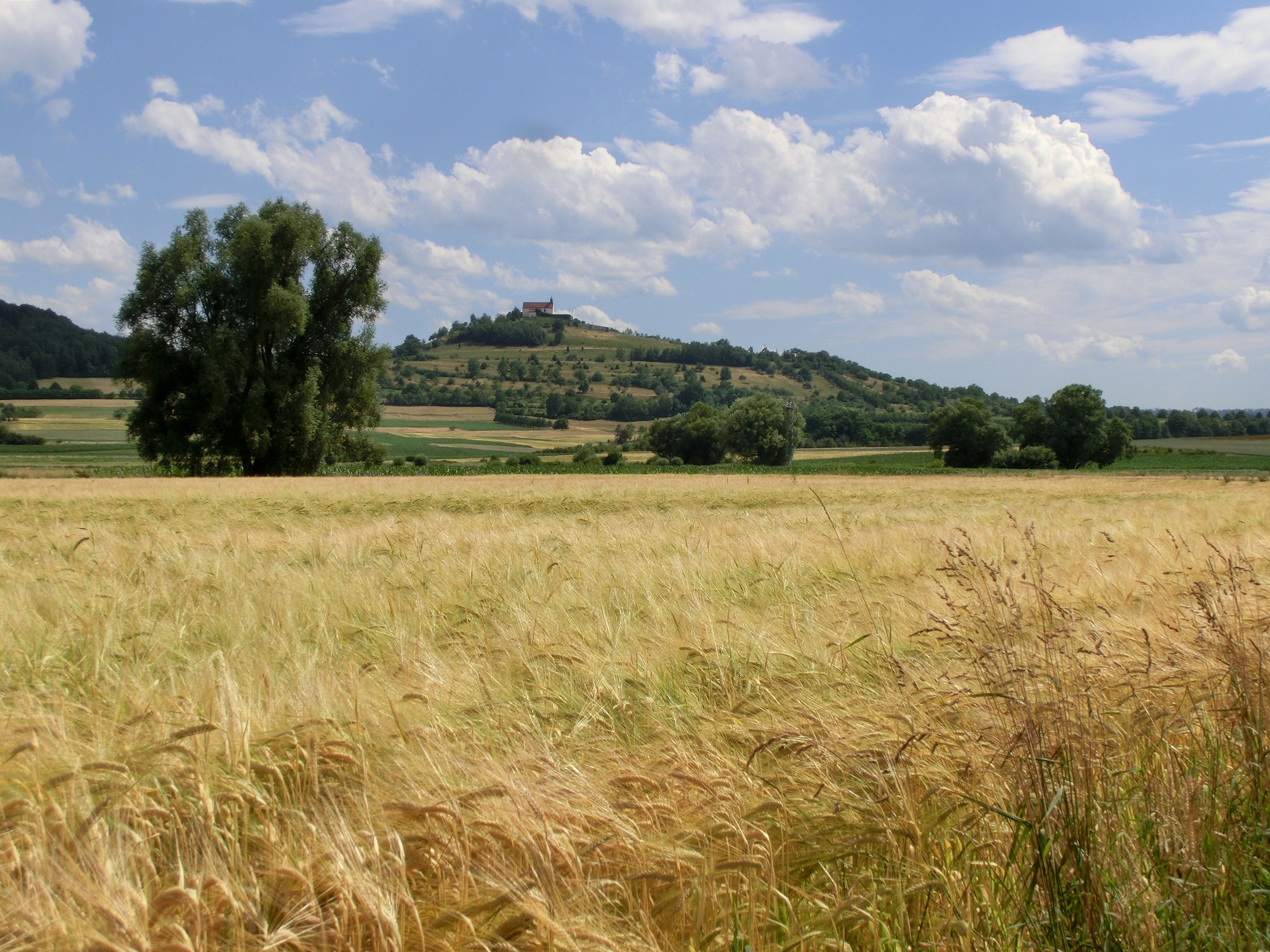 Kapellenberg Wurmlingen Juli 2014
