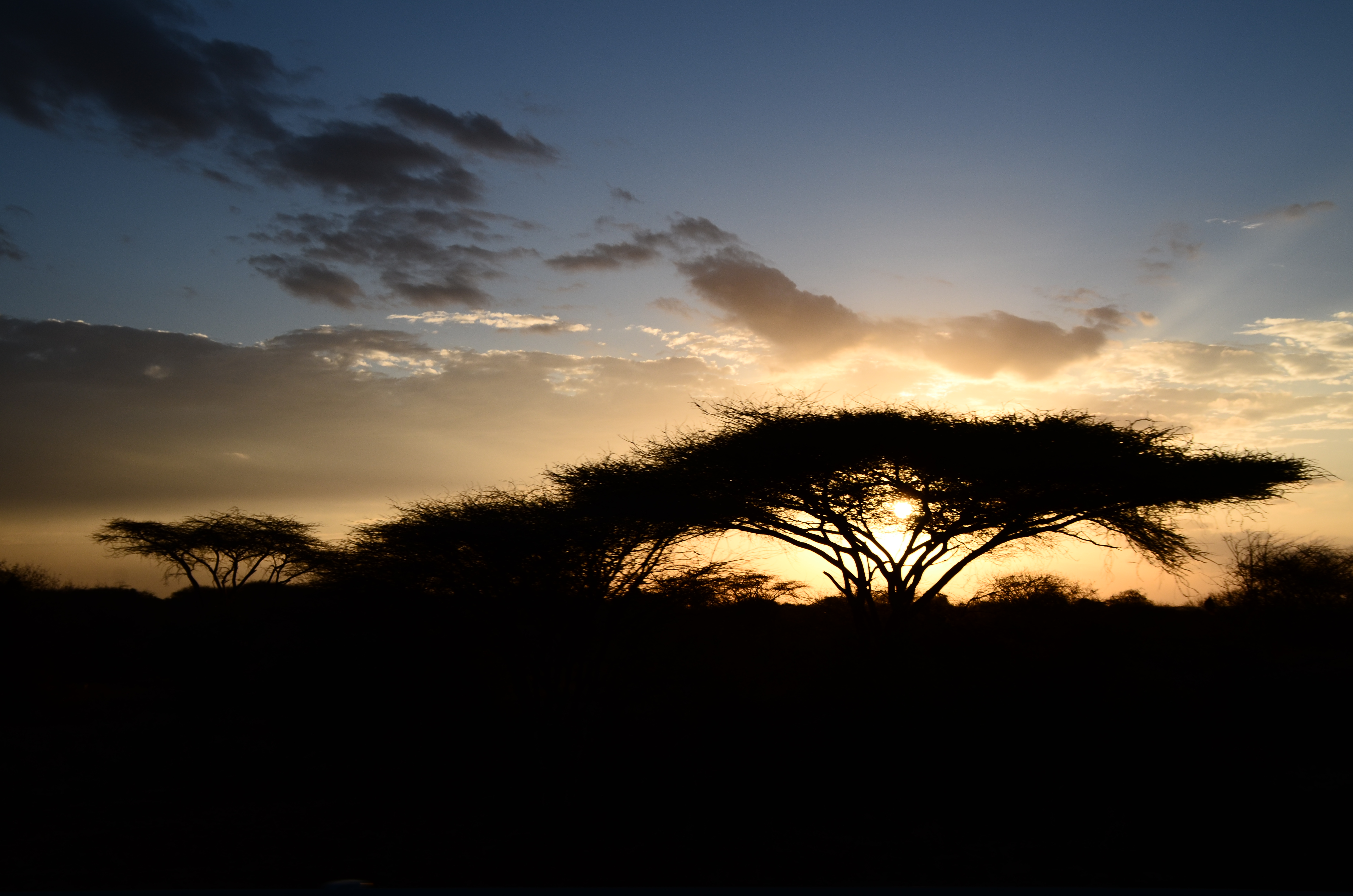 Kenia 2012 (94)