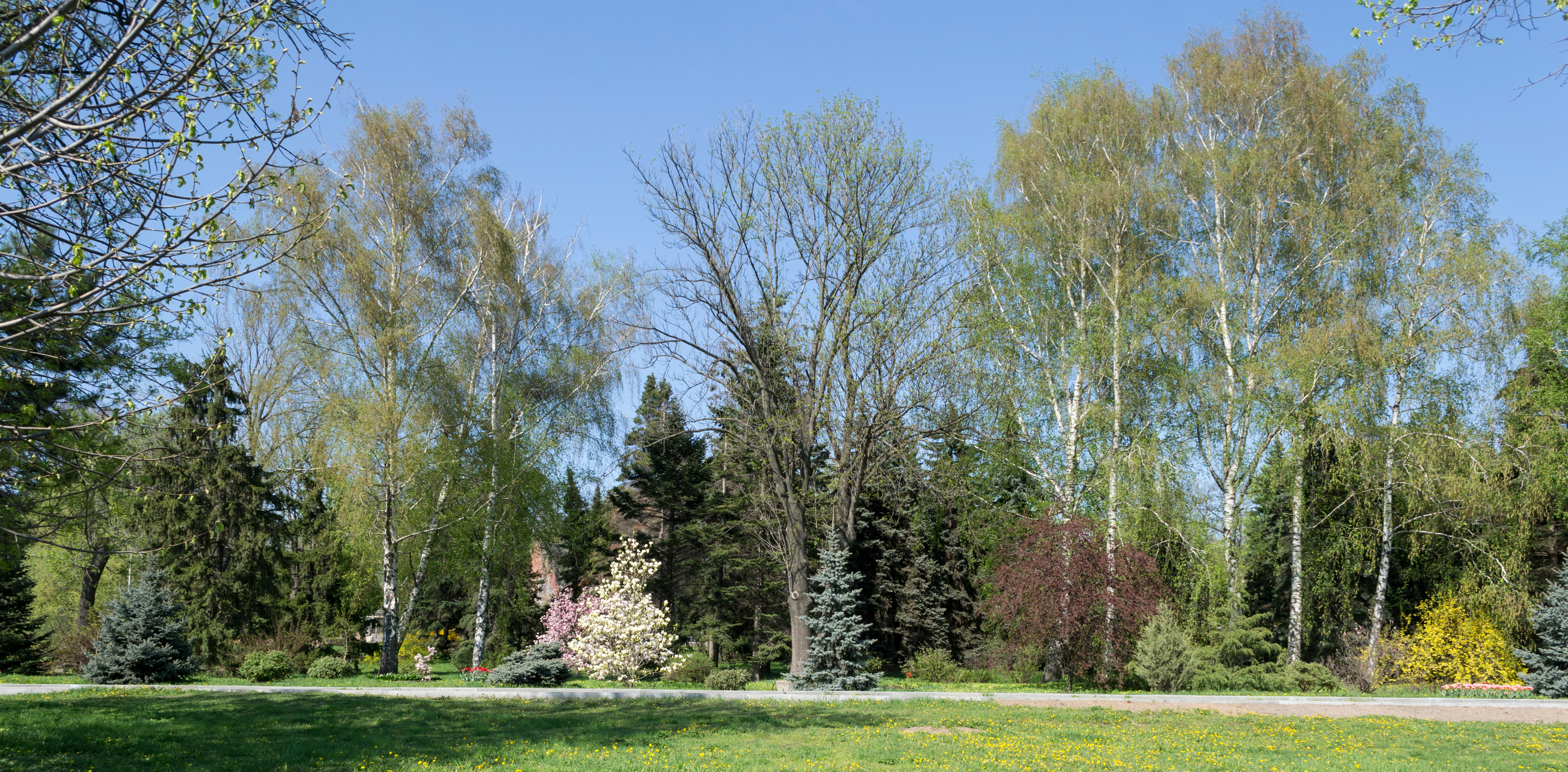 Kharkiv Botanical Garden on Klochkivska Street 02
