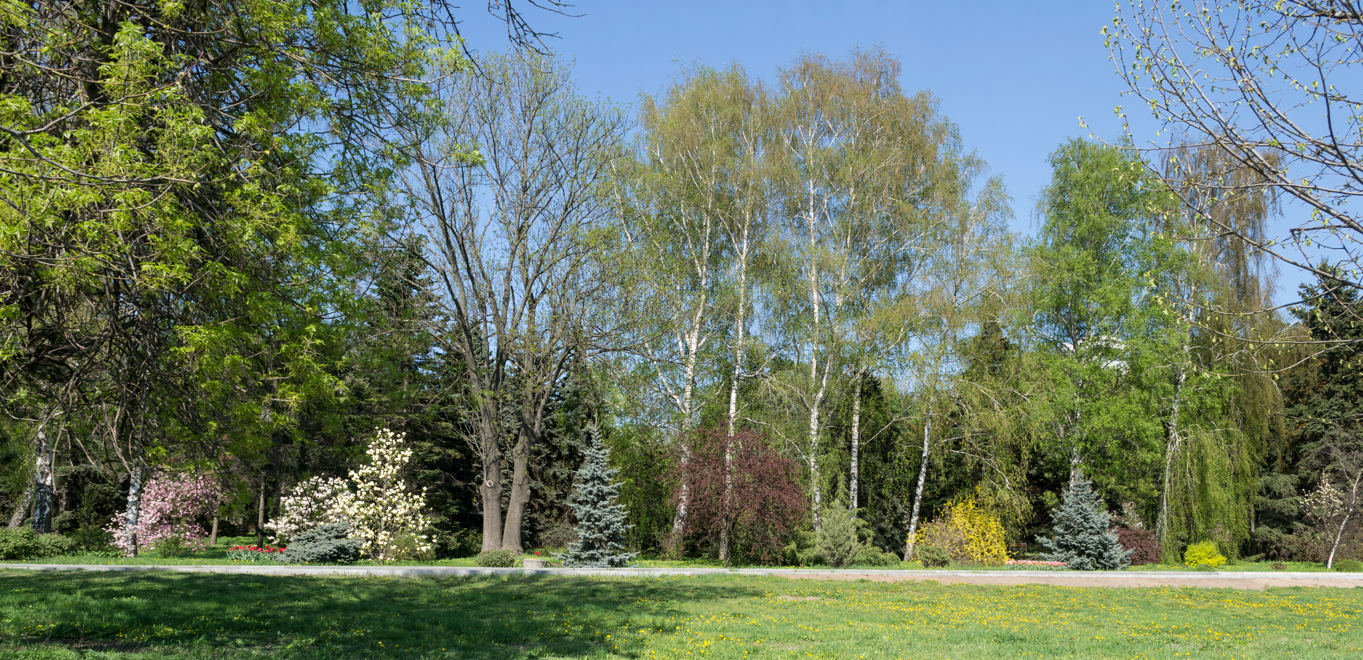 Kharkiv Botanical Garden on Klochkivska Street 04