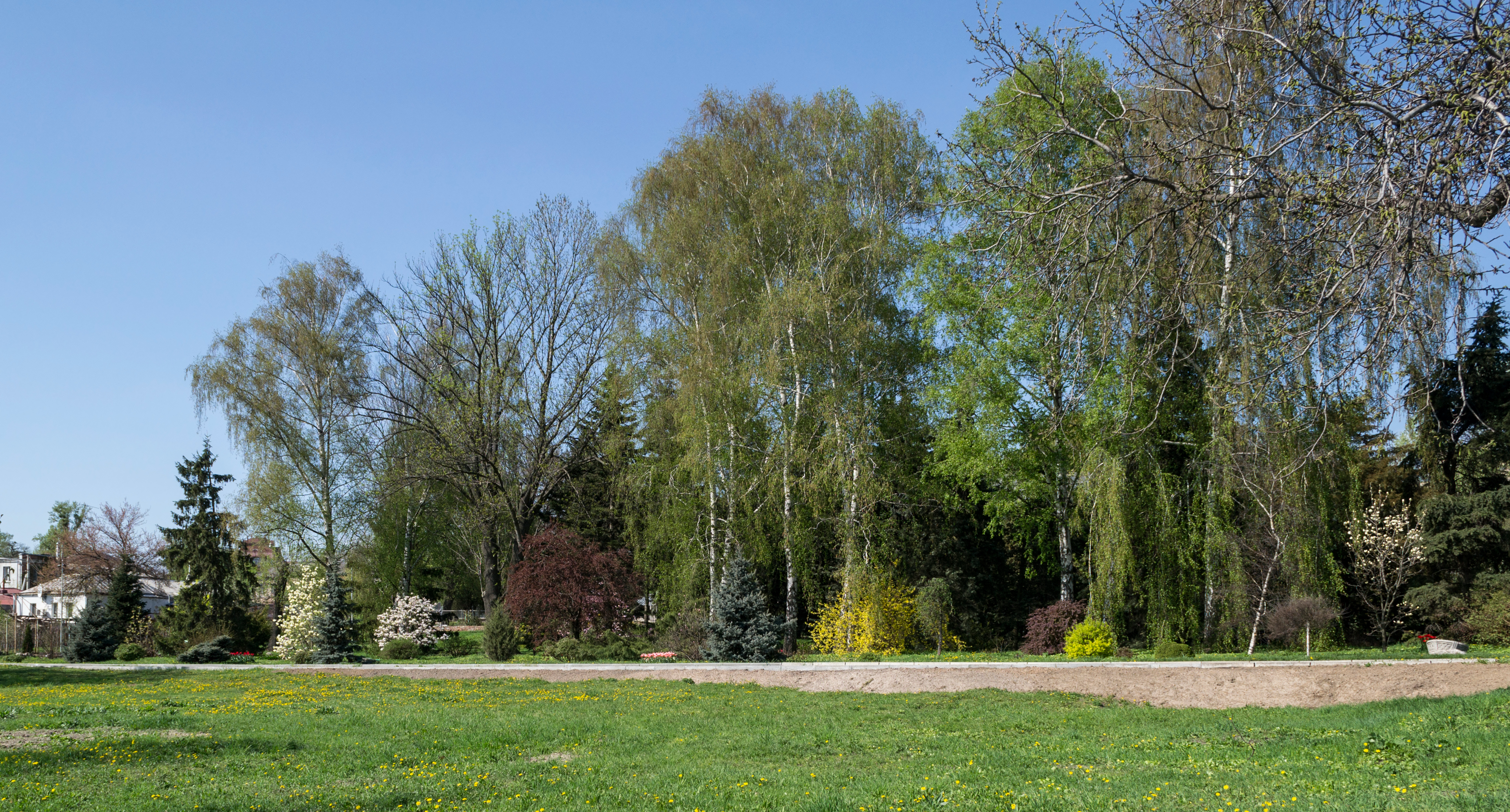 Kharkiv Botanical Garden on Klochkivska Street 05