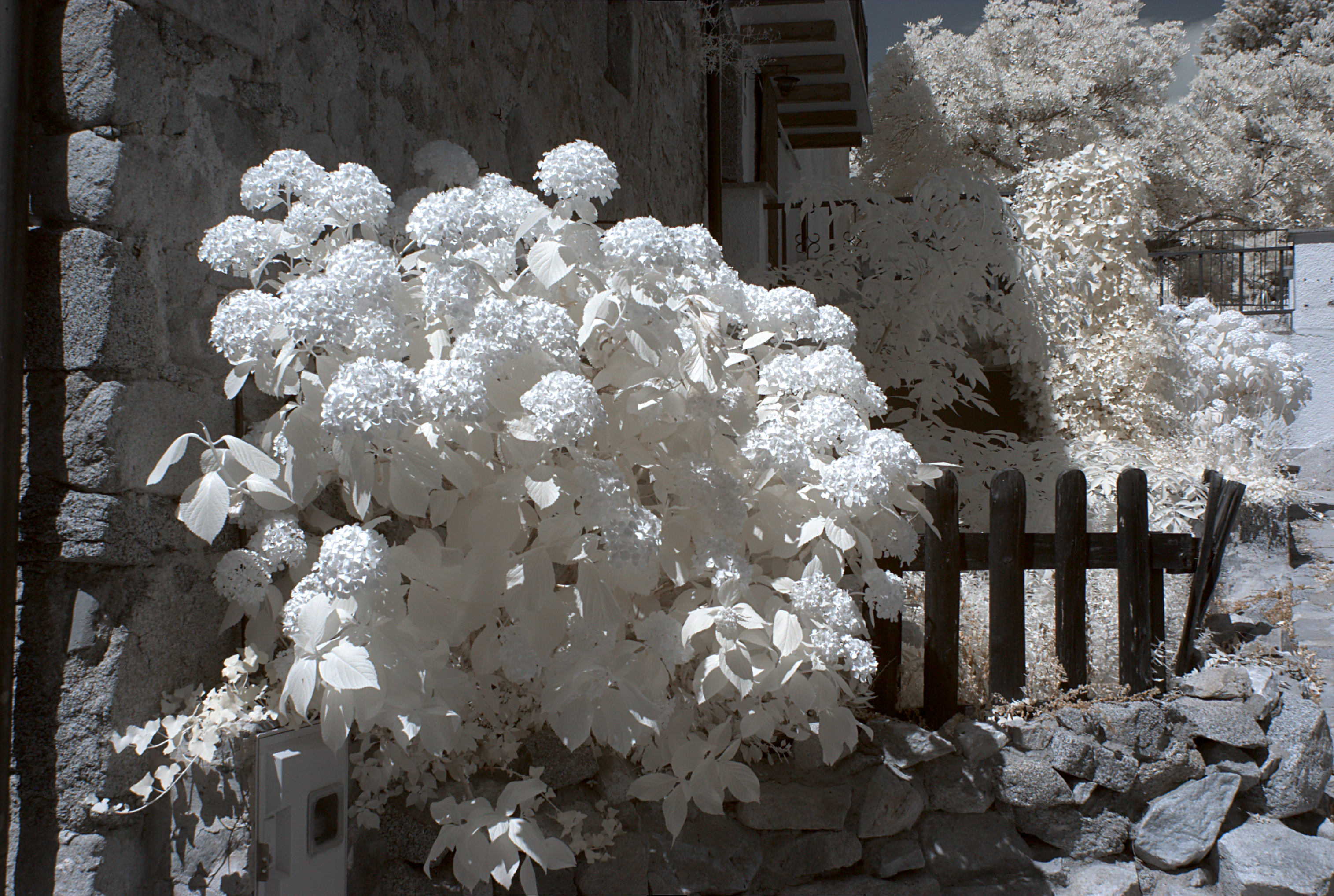 La Vajol 2013 07 16 07 IR M8